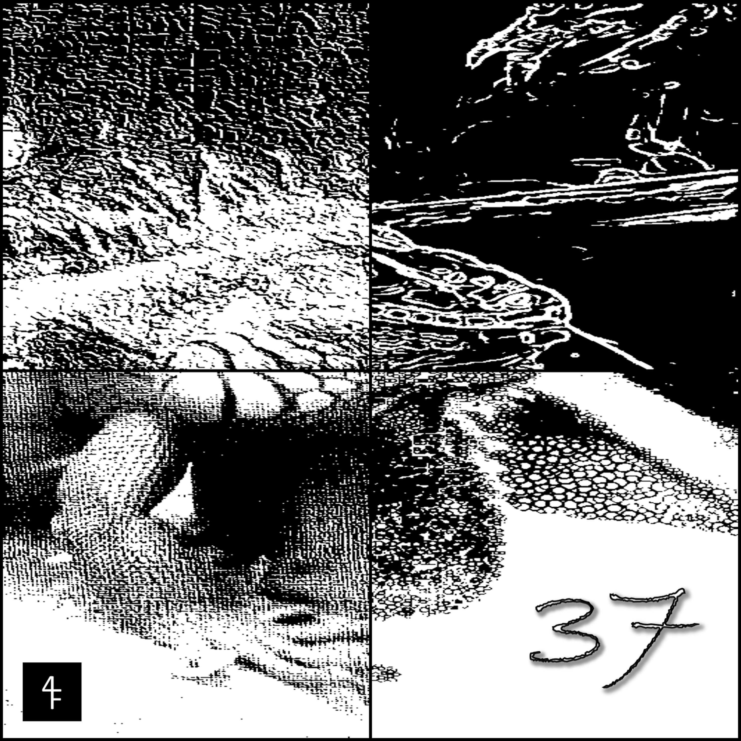 37