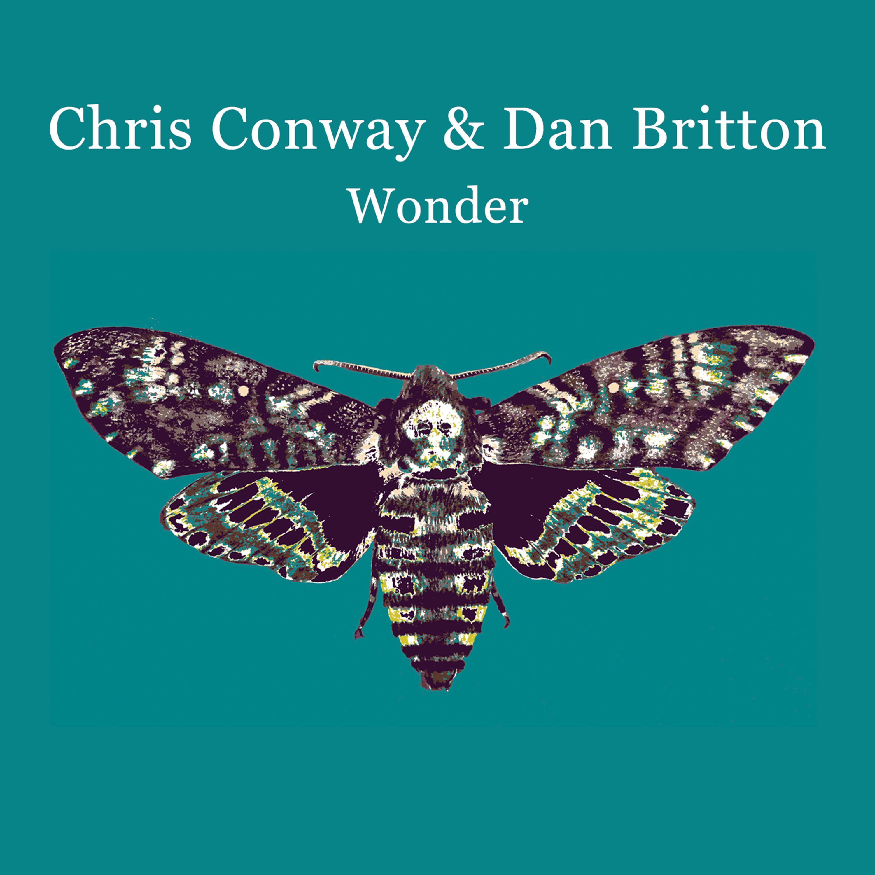 Wonder