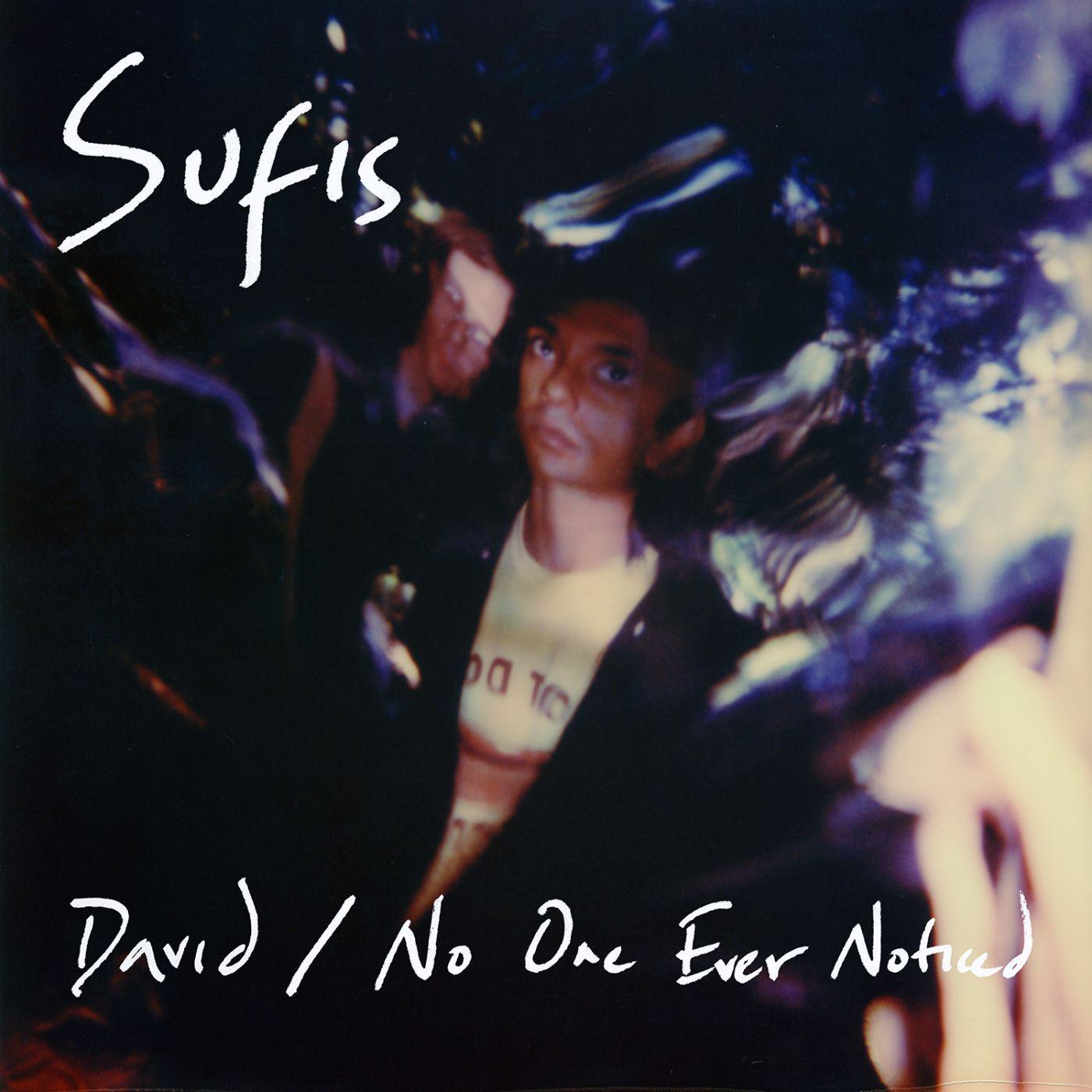 David / No One Ever Noticed