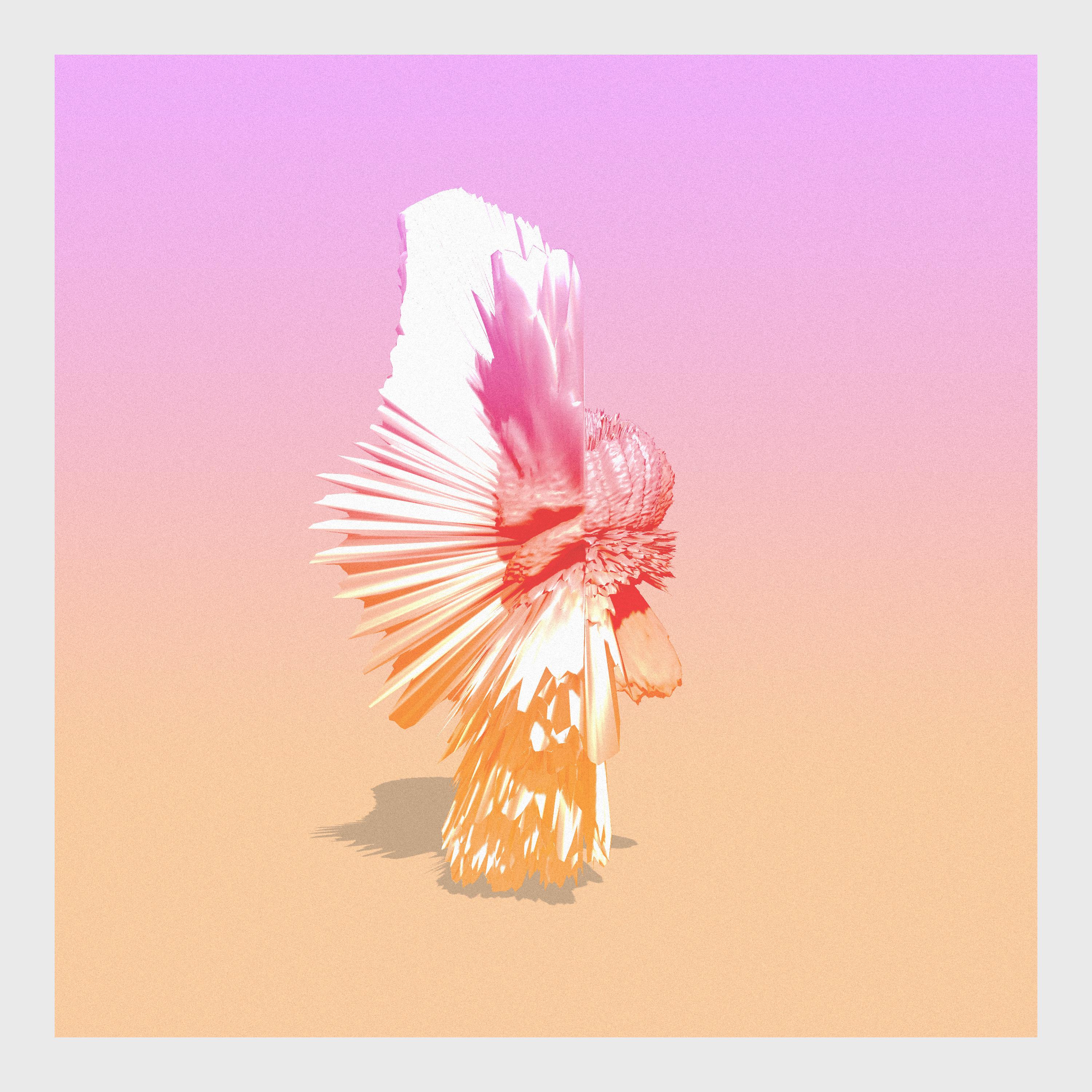 Flutter