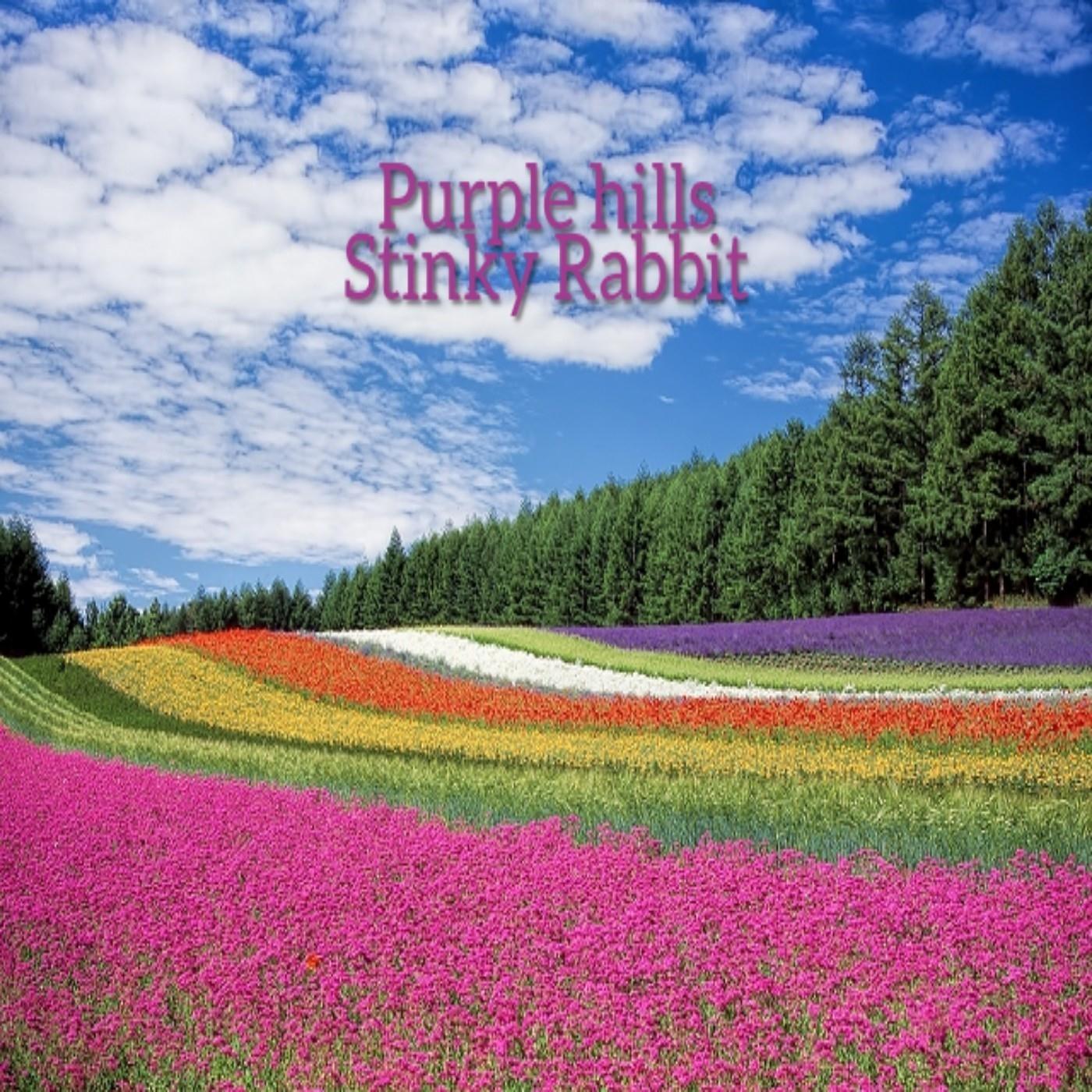 Purple Hills