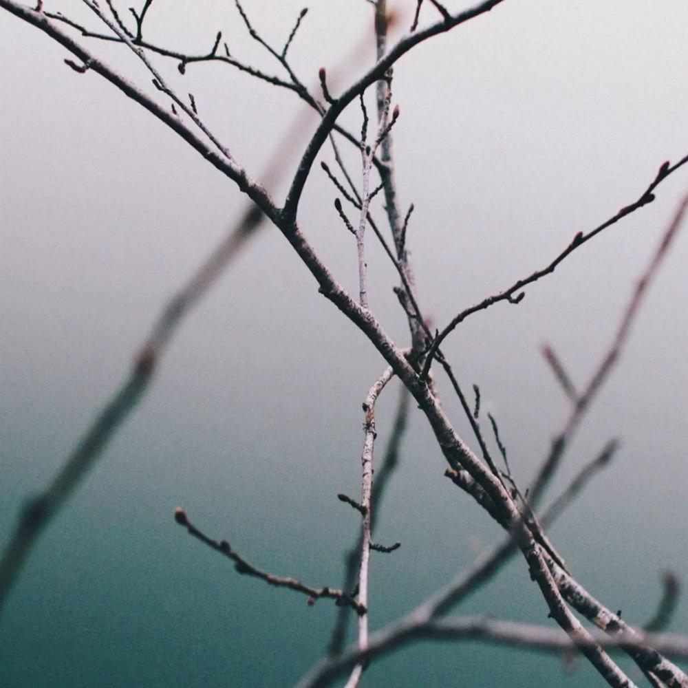 Isolated Mind