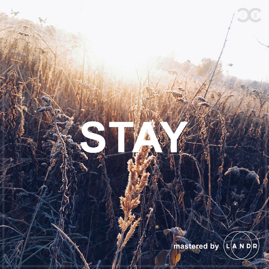 Stay