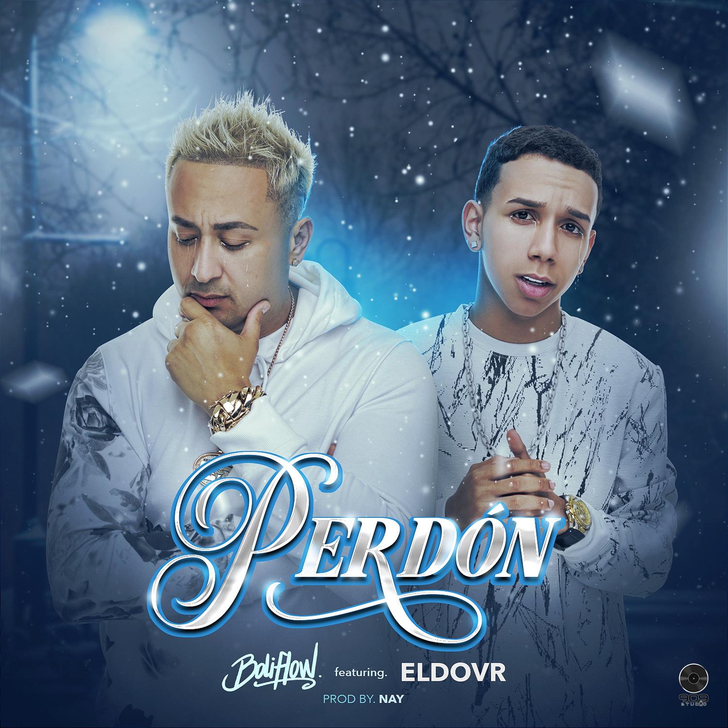 Perdo n