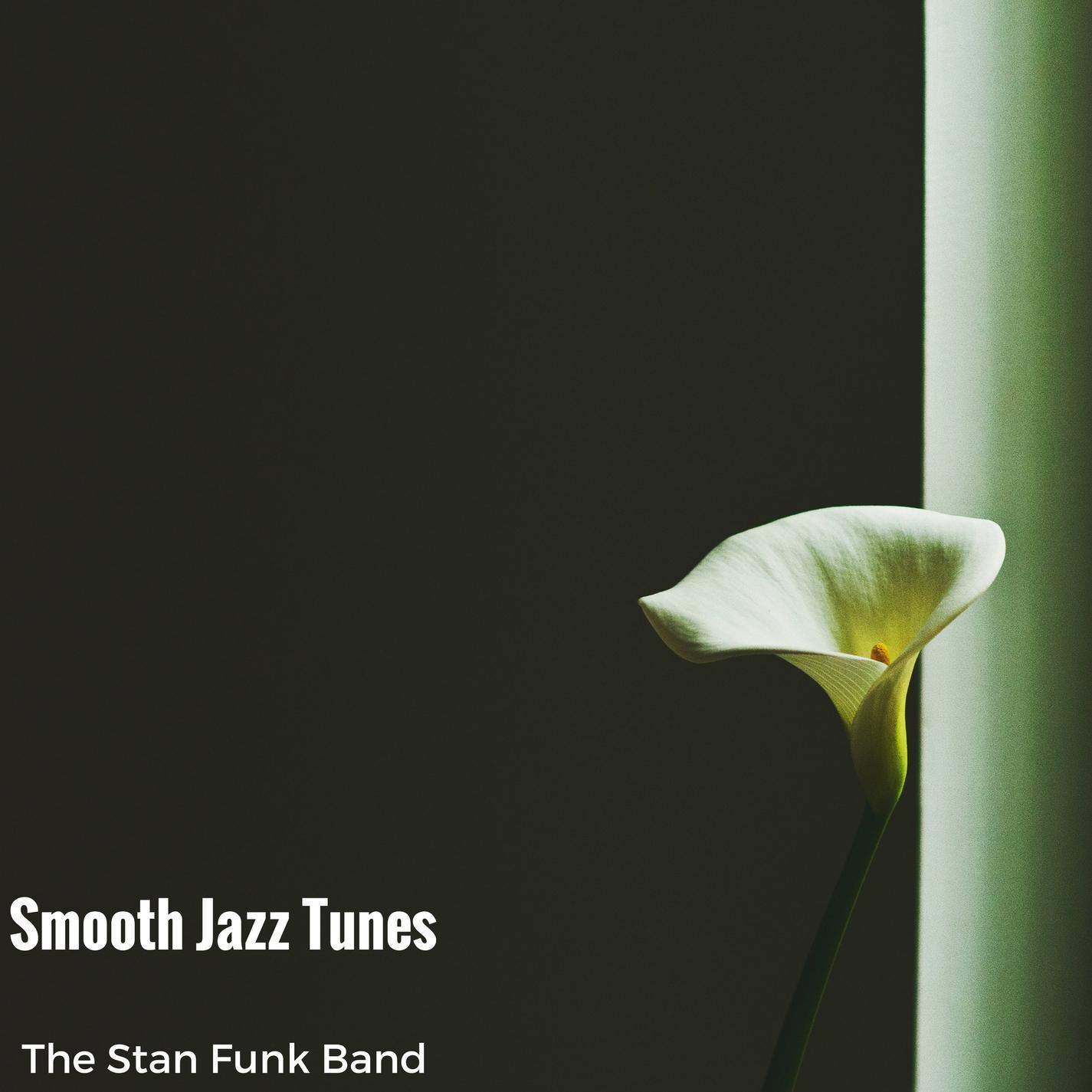 Smooth Jazz Tunes