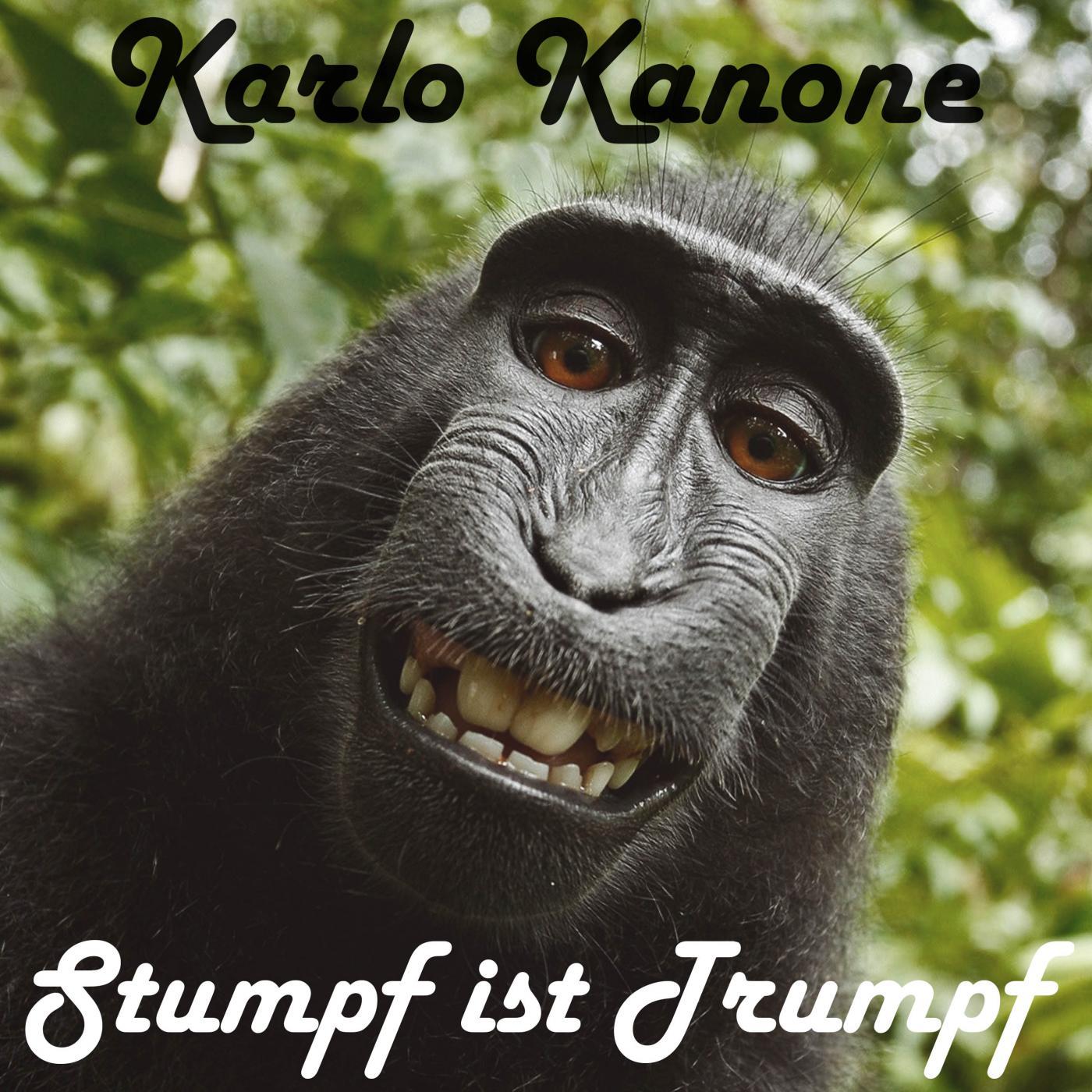 Stumpf ist Trumpf