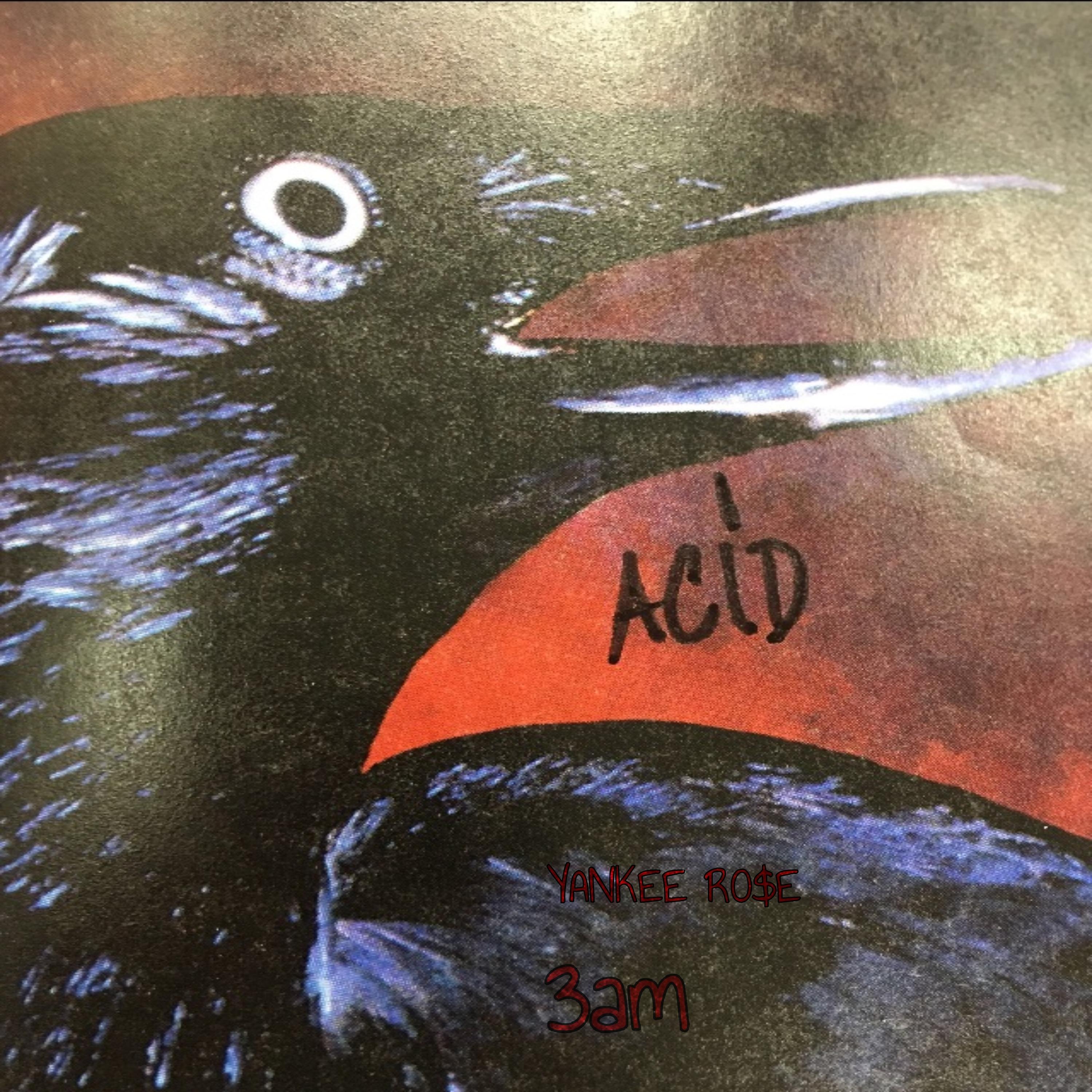 3.am