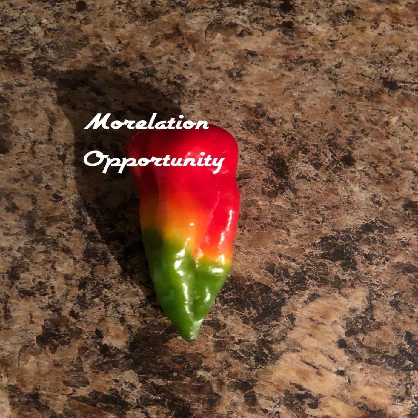 Opportunity