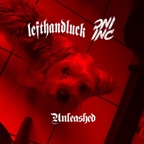 UNLEASHED FT ONI INC
