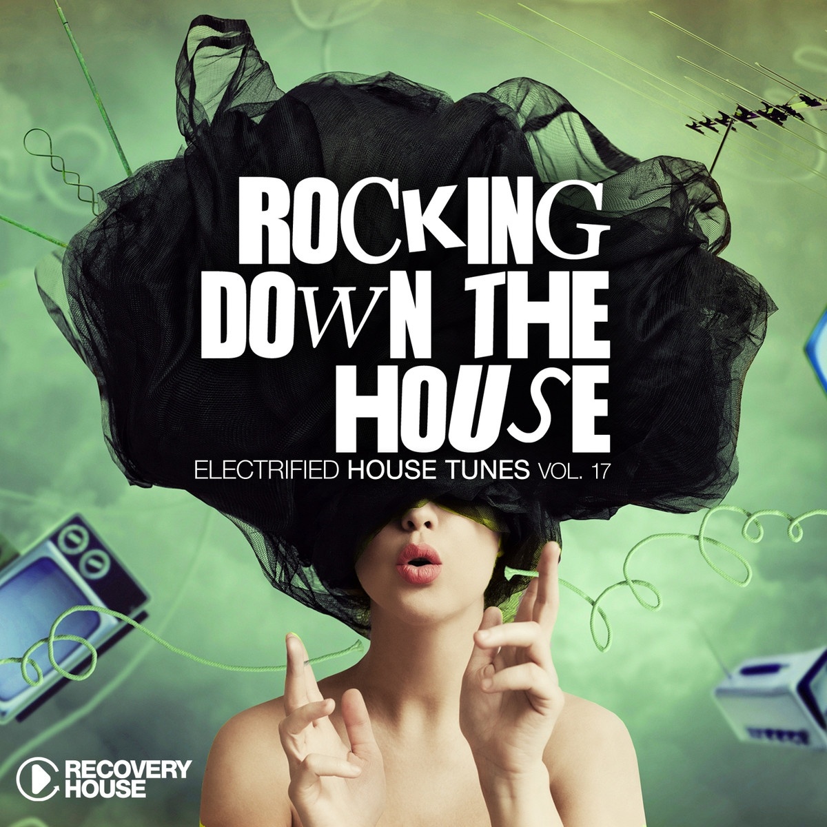 Rocking Down the House - Electrified House Tunes, Vol. 17