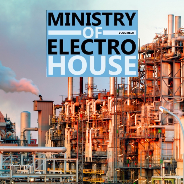 Ministry Of Electro House Vol 21
