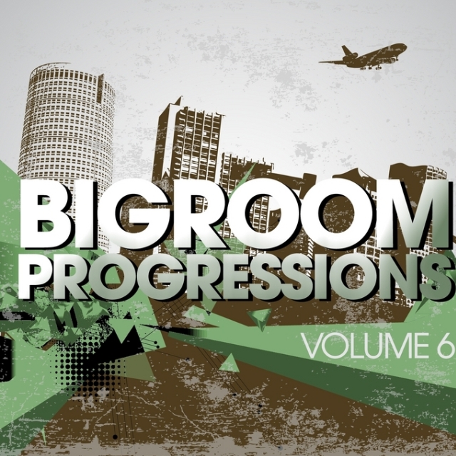  Bigroom Progressions Vol 6 