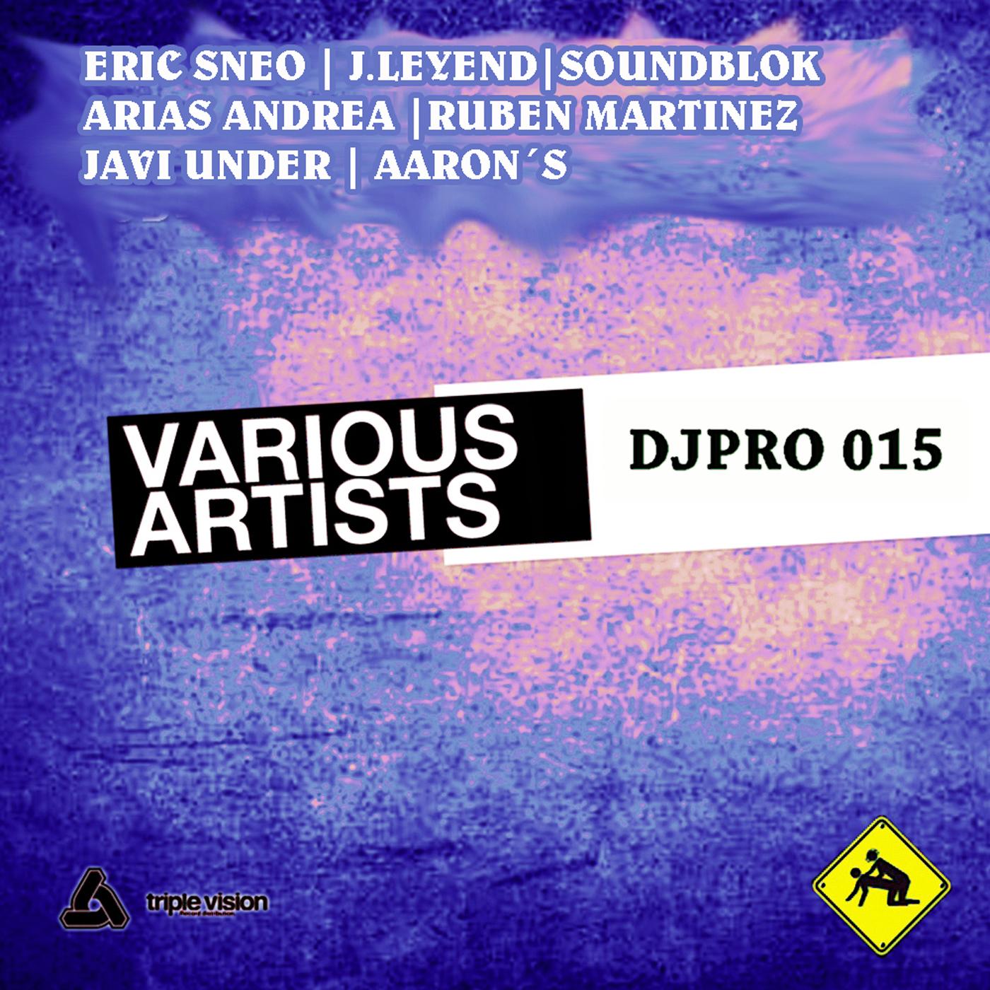 DJPRO 015