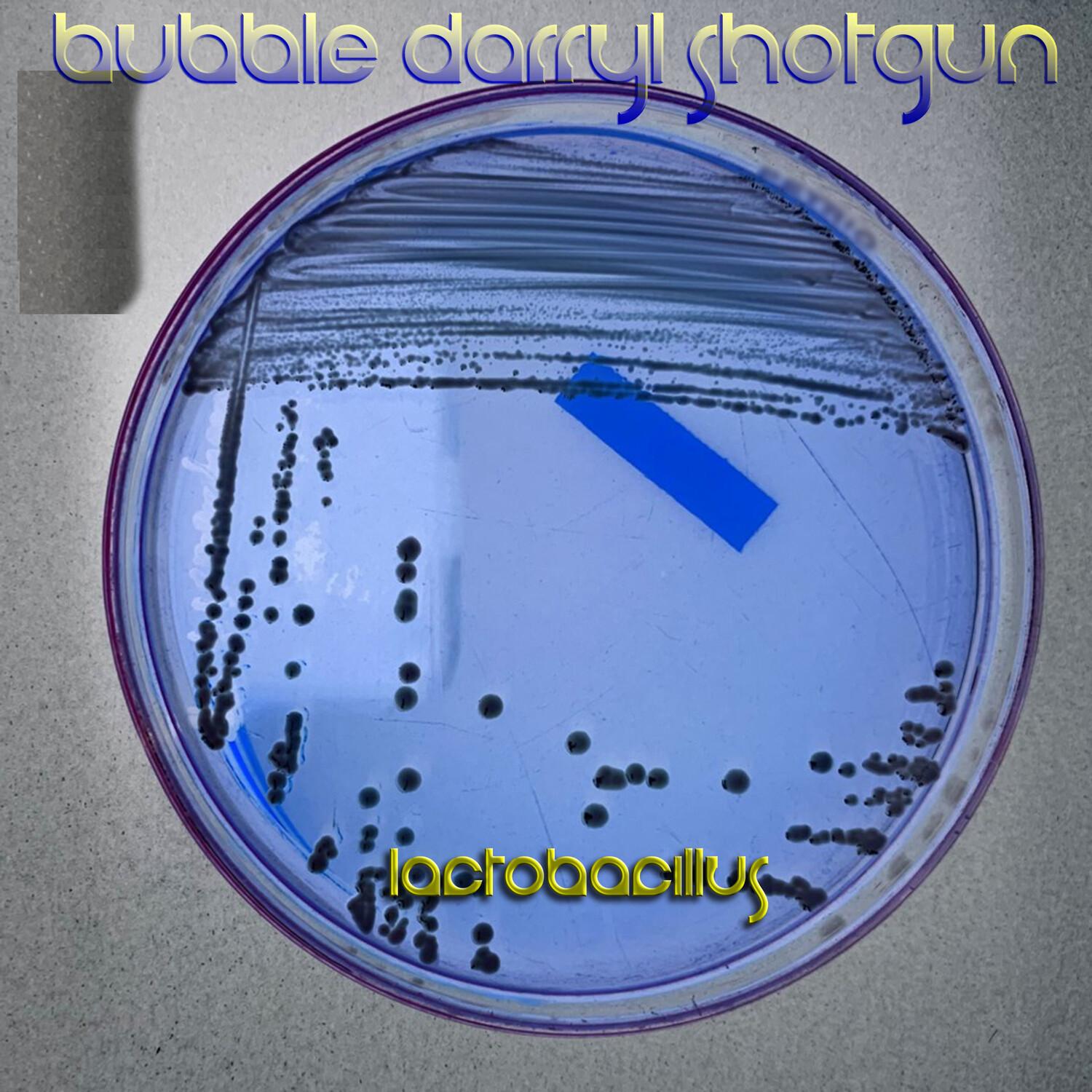 Lactobacillus