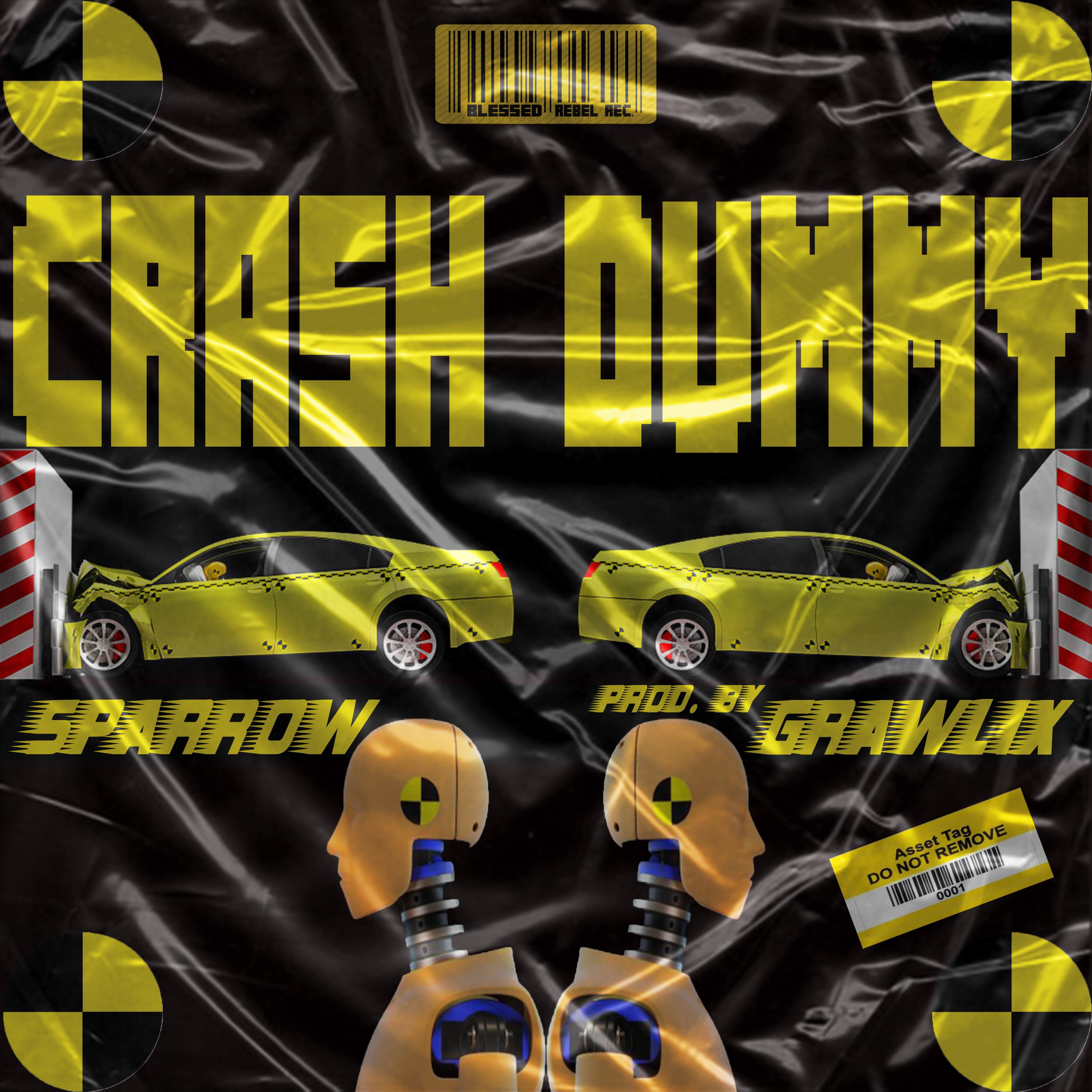 Crash Dummy