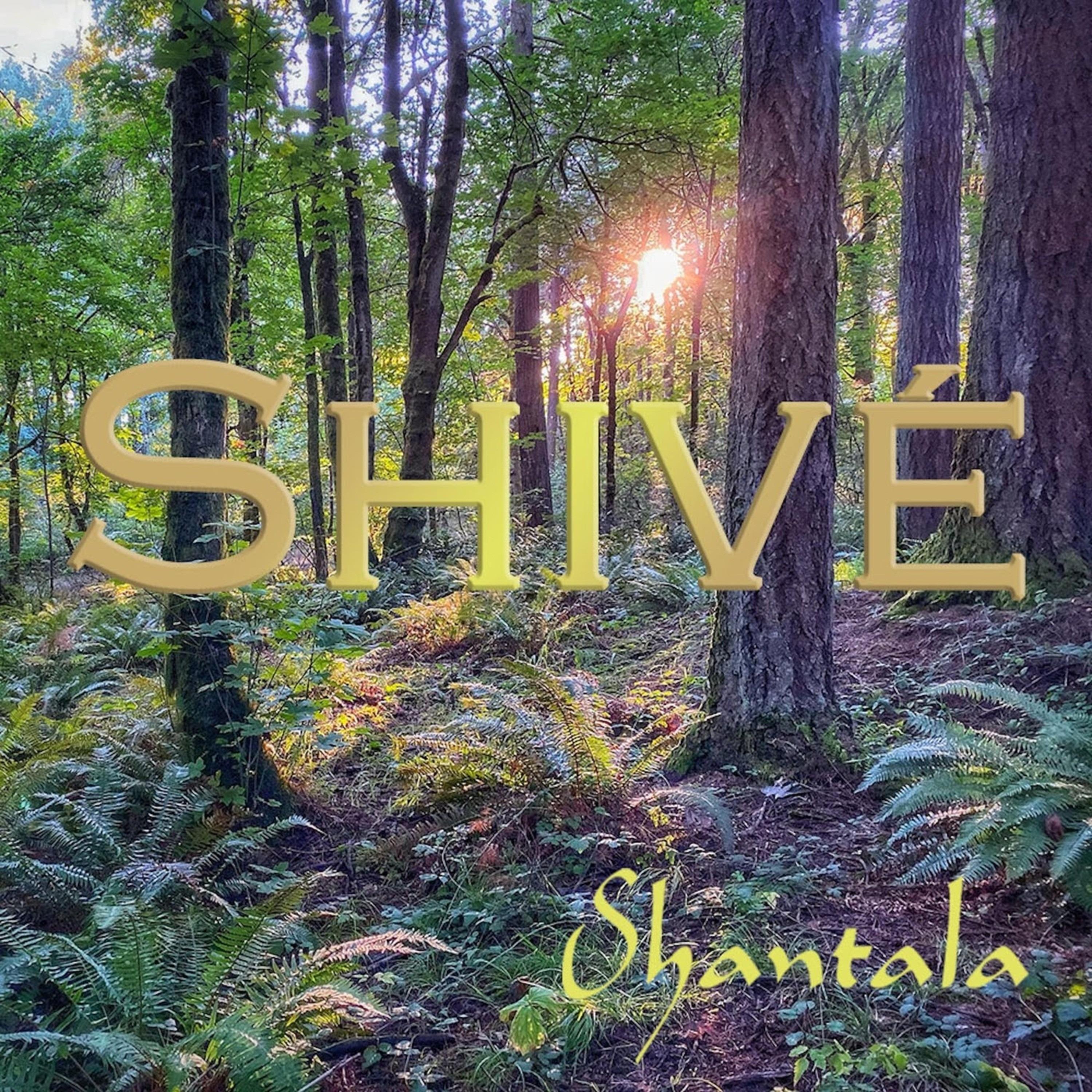 Shive