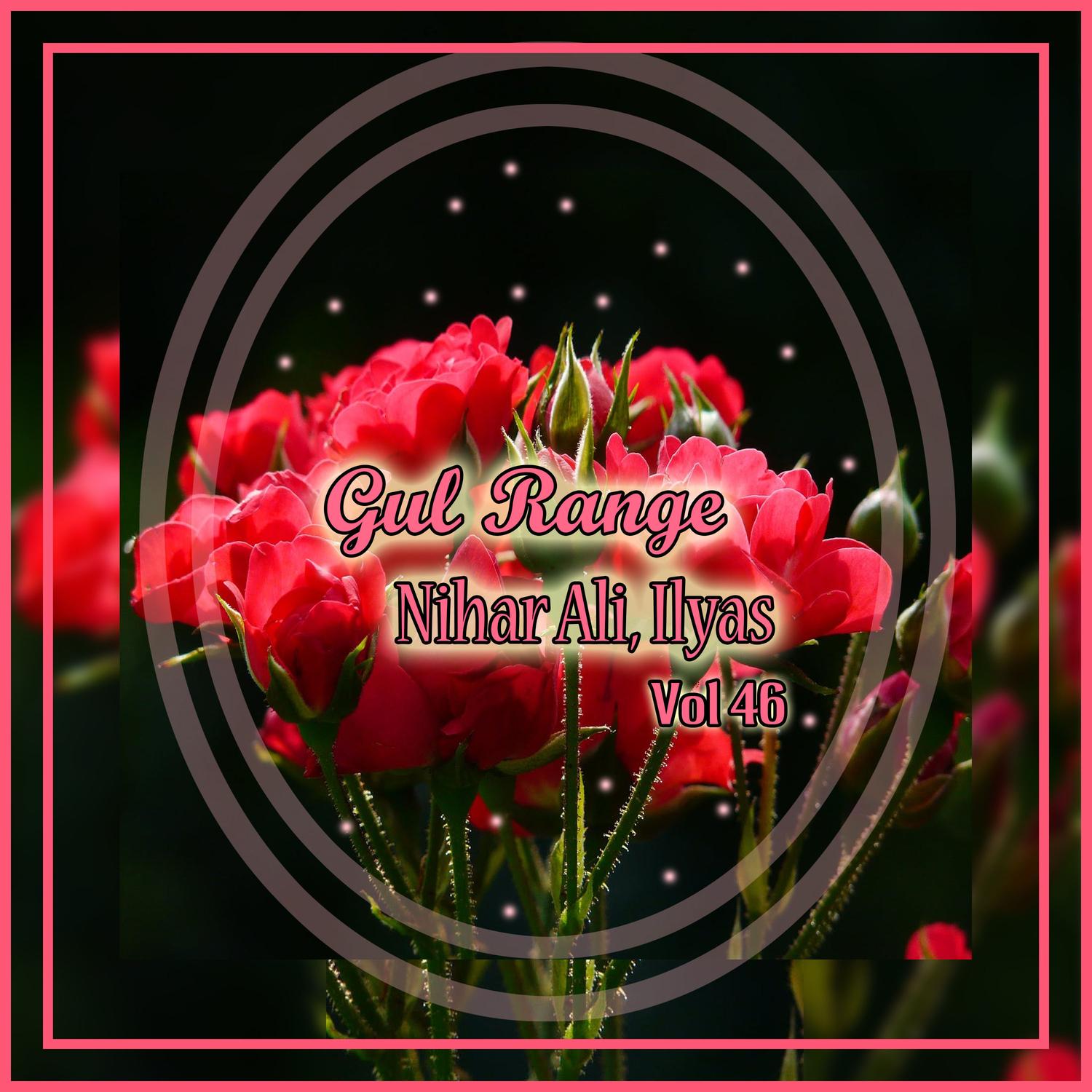Gul Range, Vol. 46