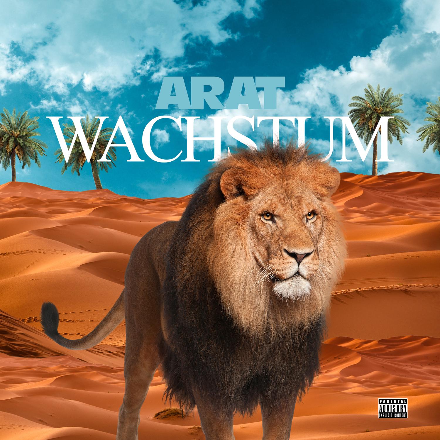 Wachstum
