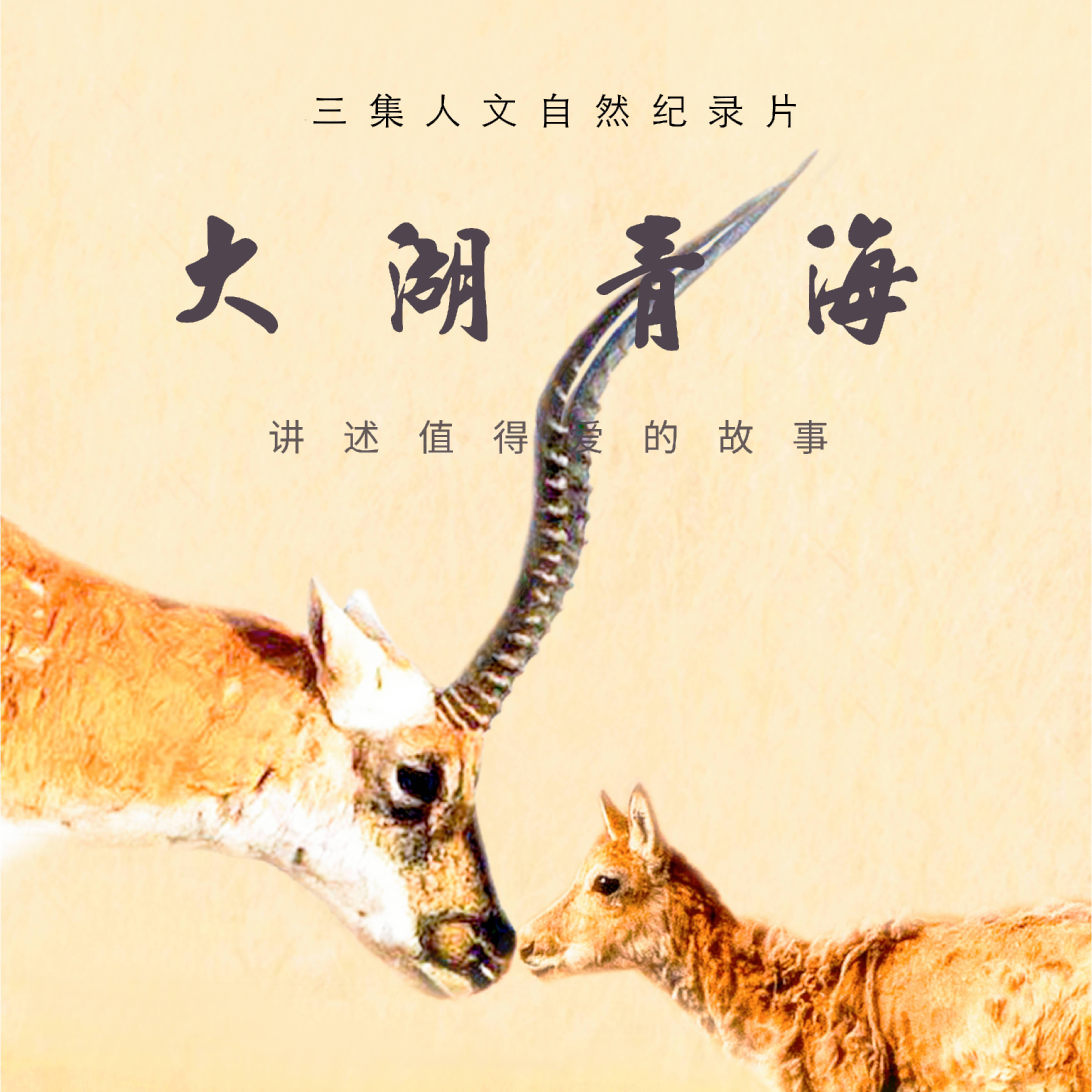 mi jing