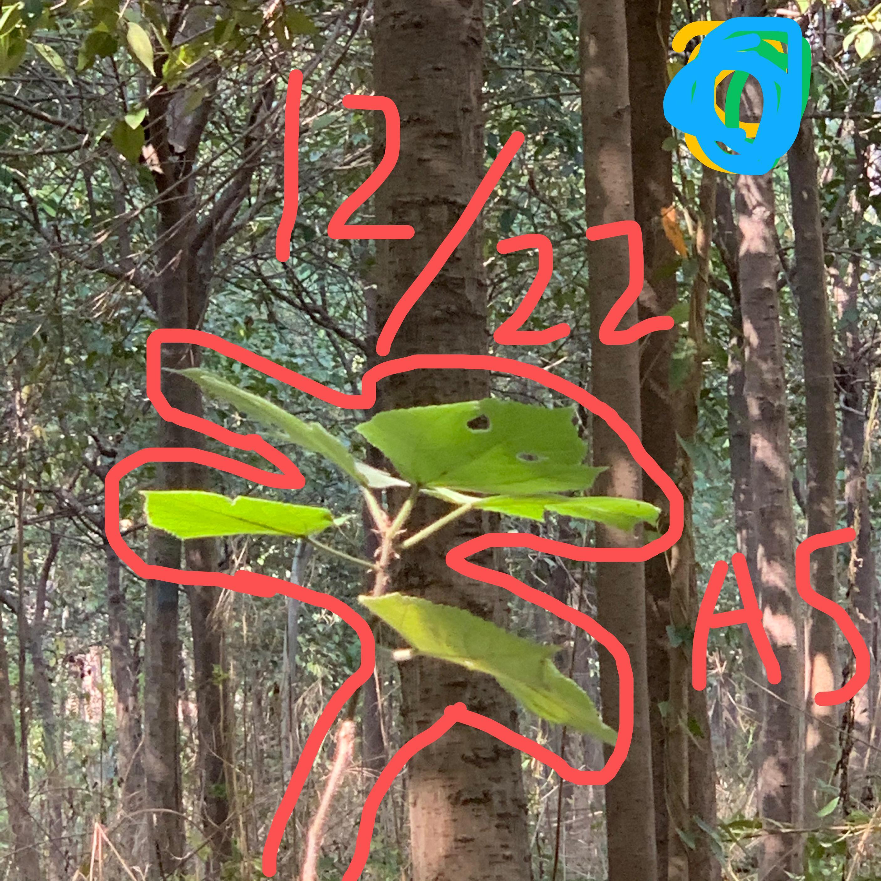 12. 22