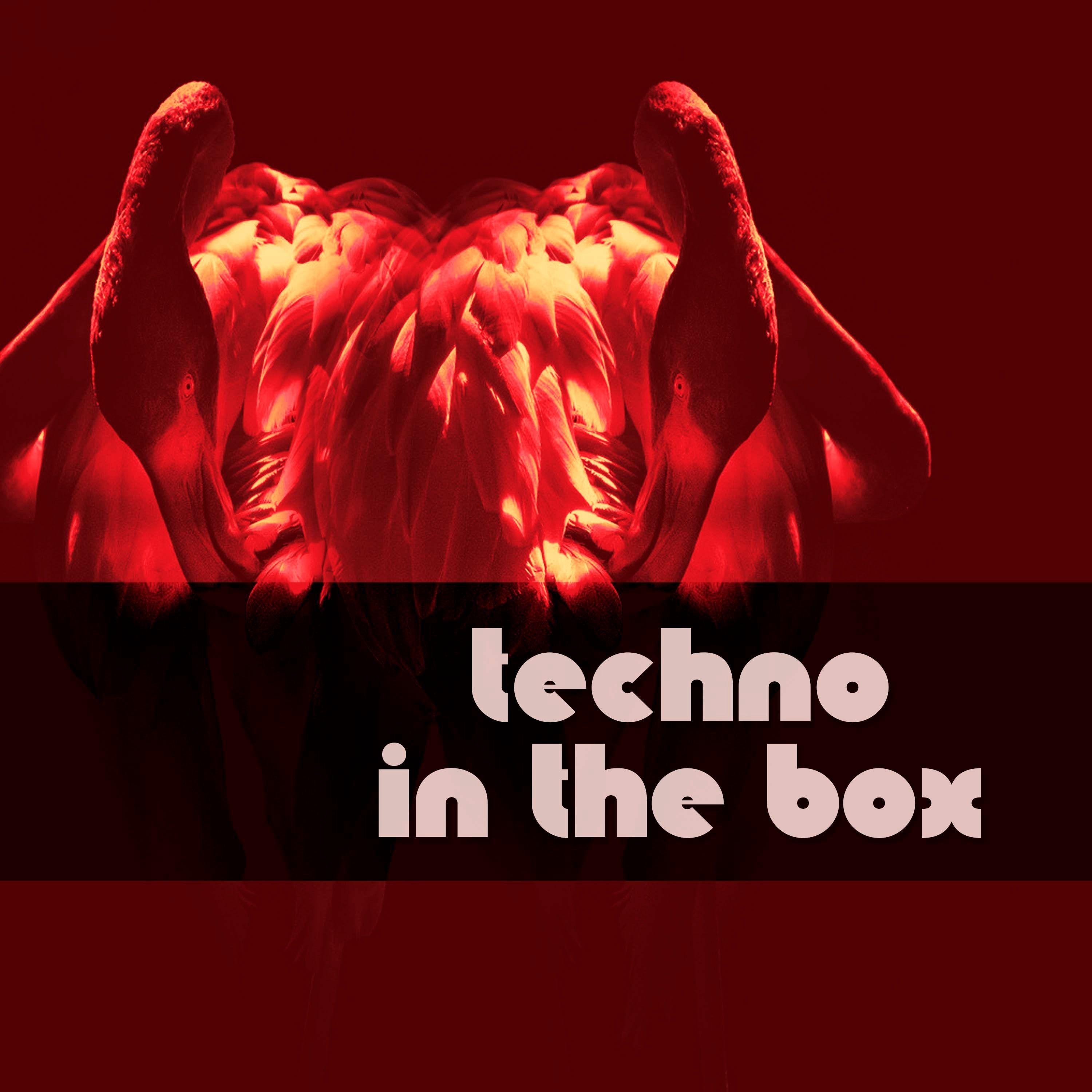 Techno in the Box