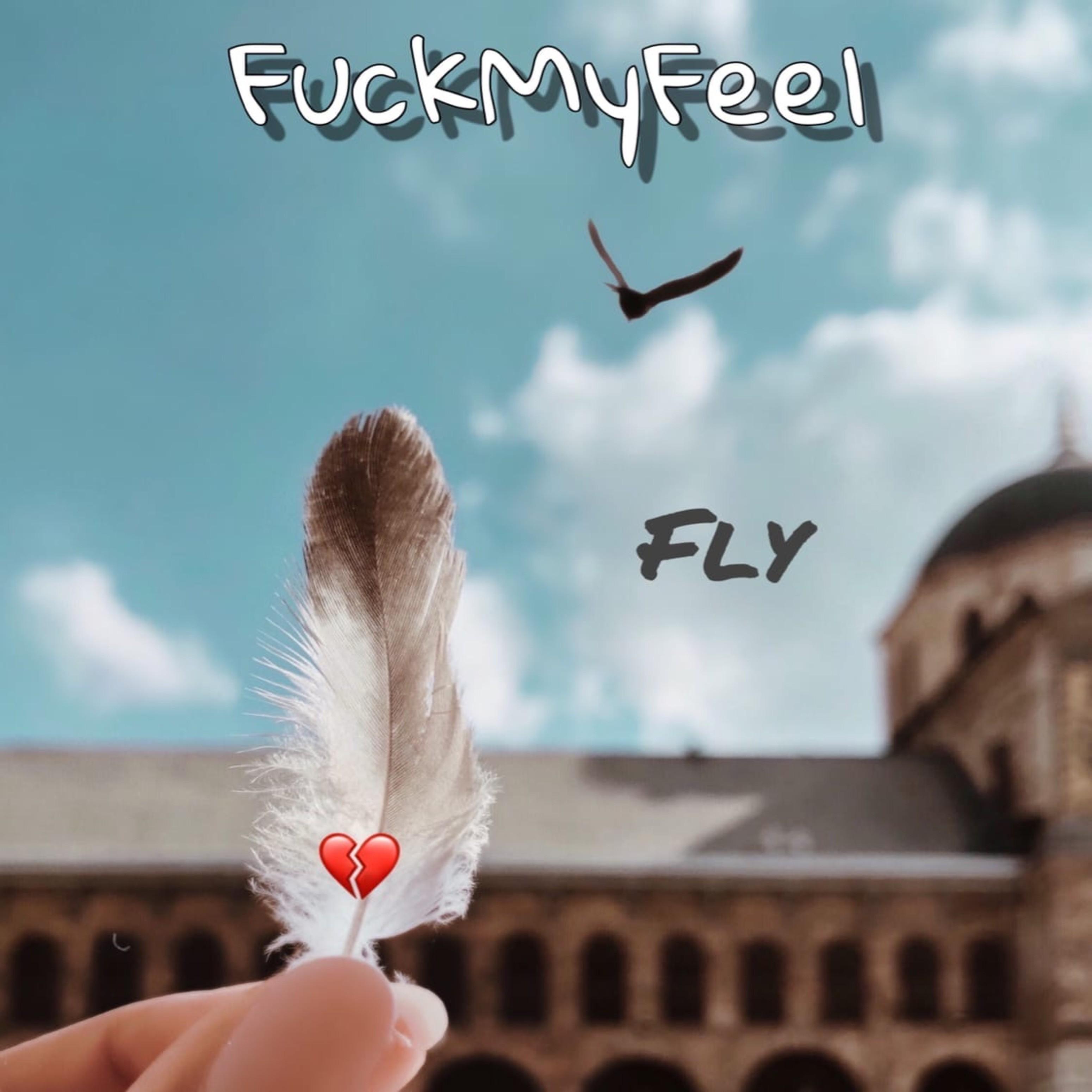 Fly