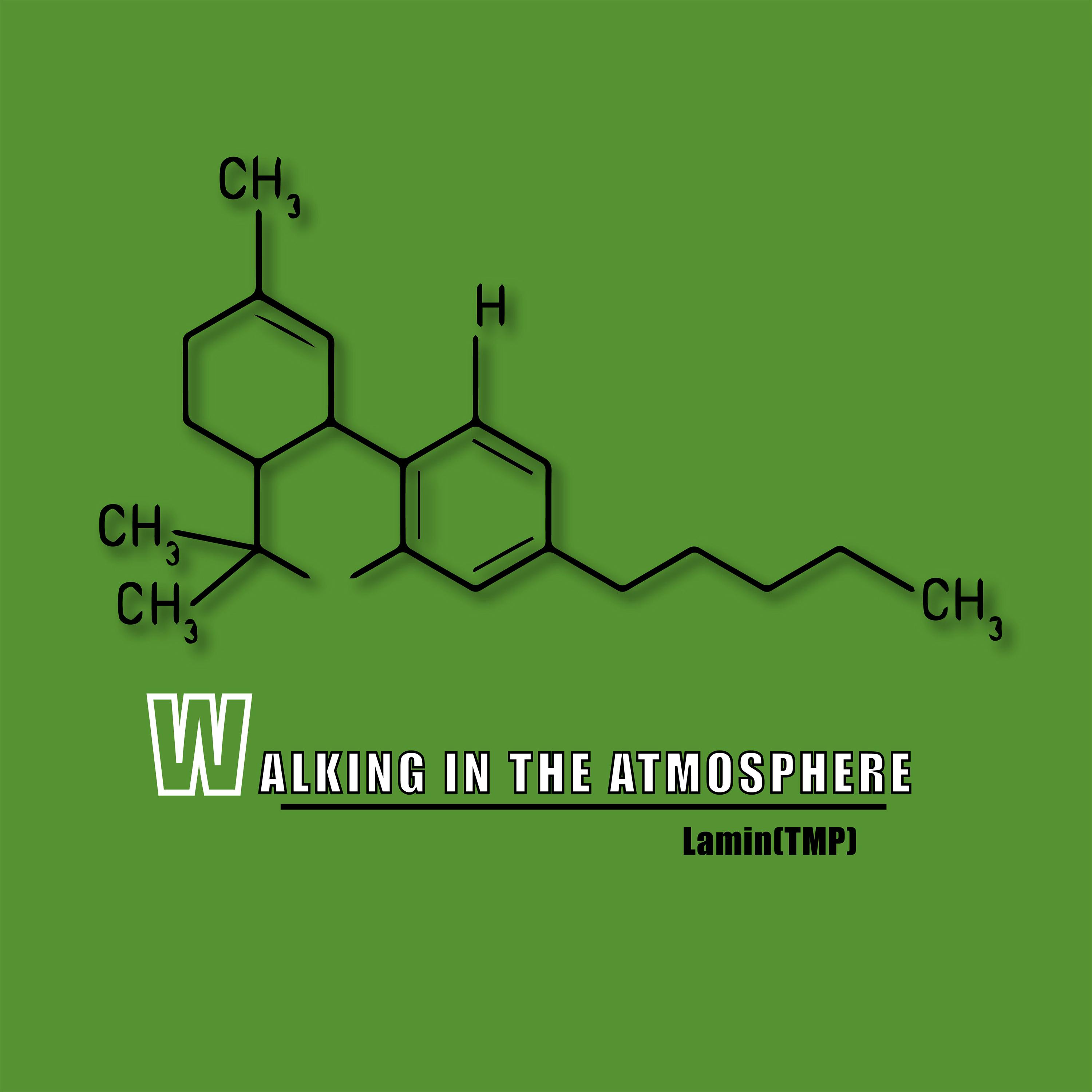 Walking In The Atmosphere