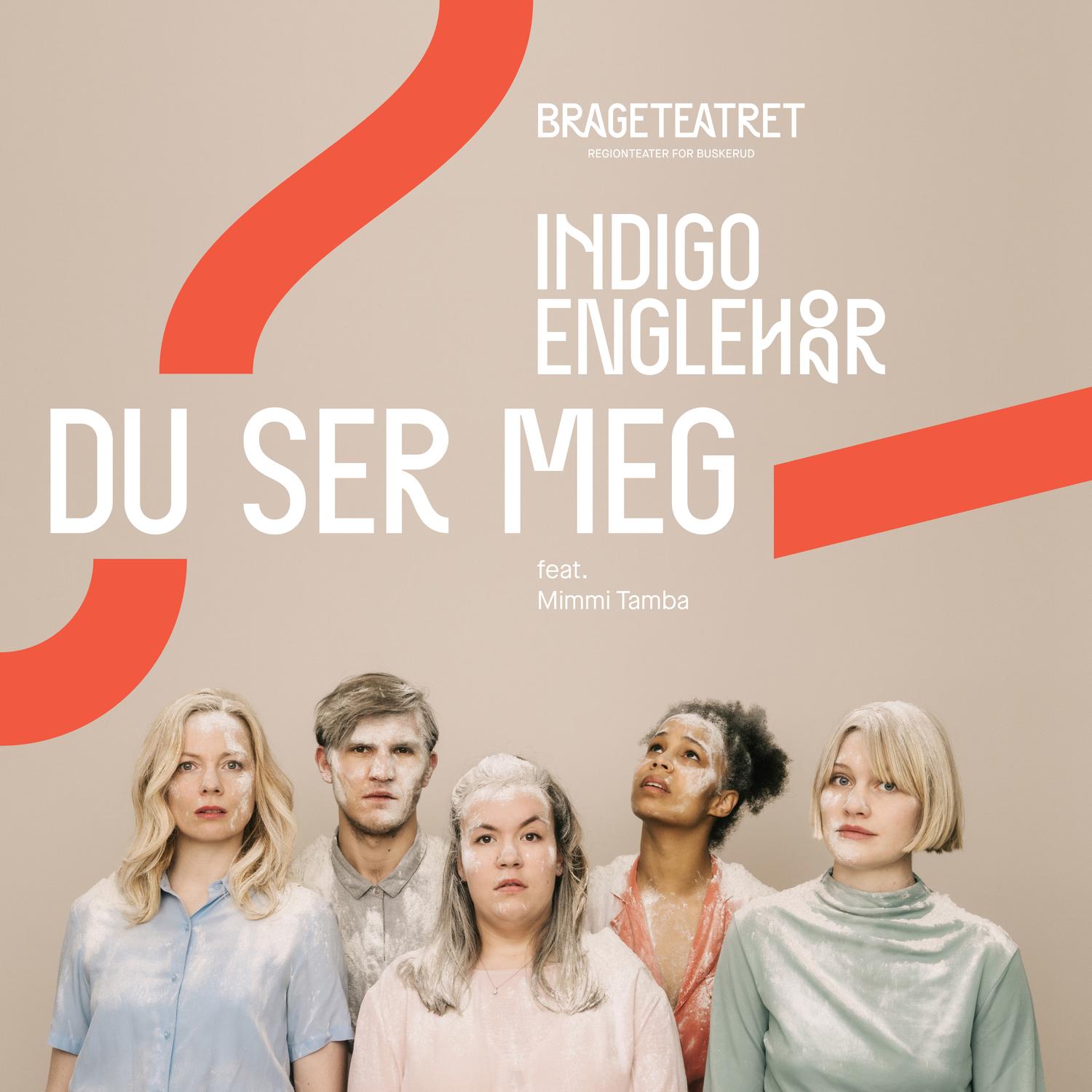 Du ser meg