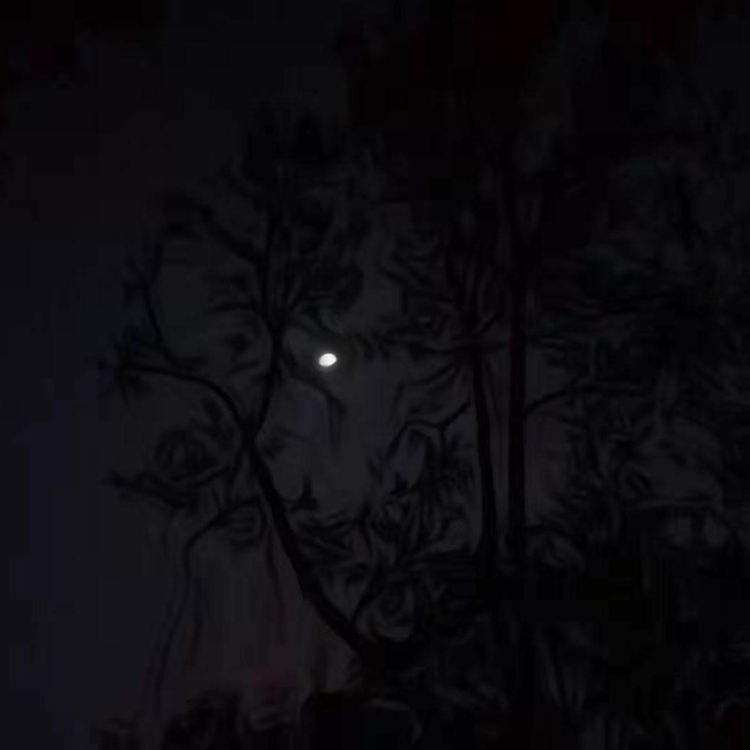 Life and Death