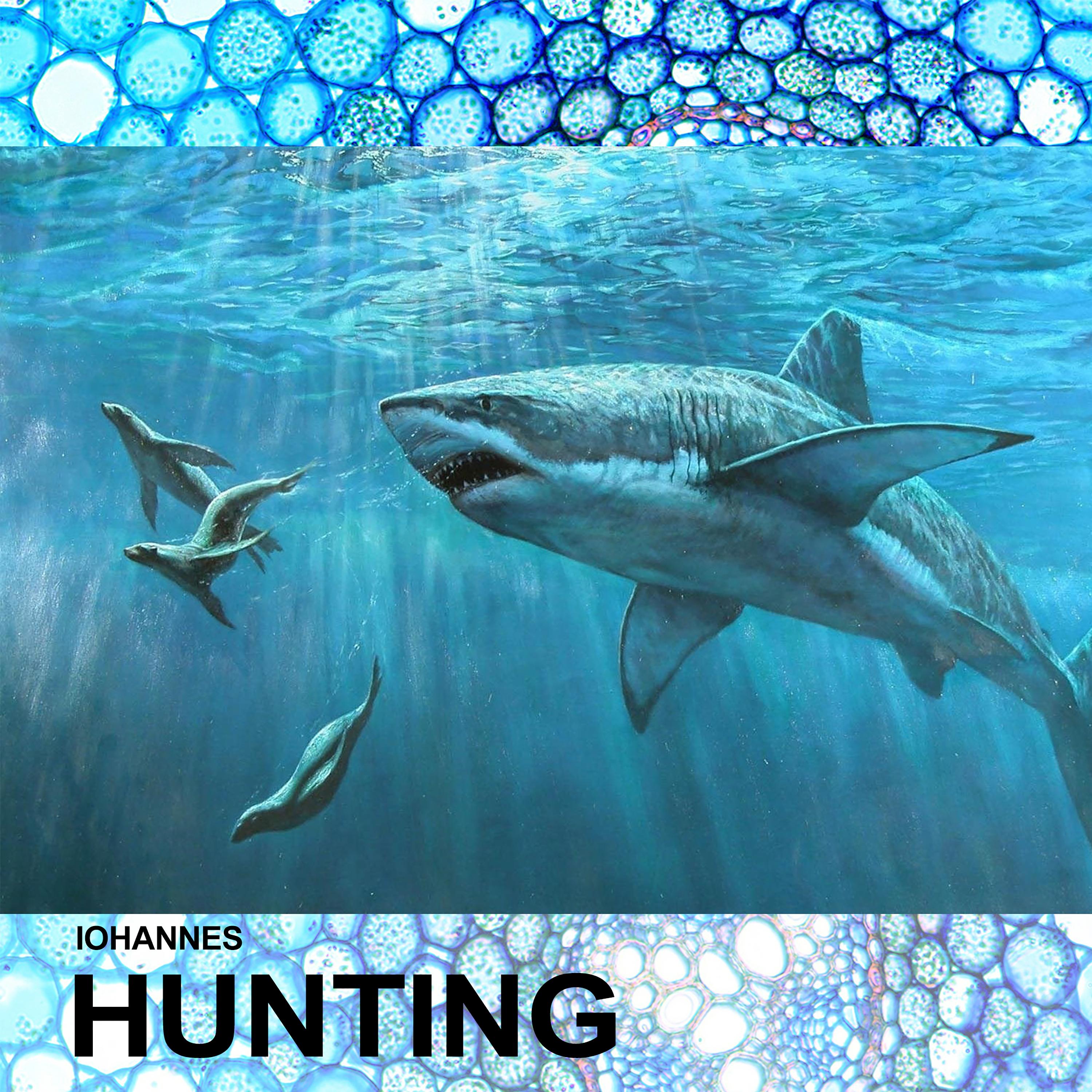 Hunting