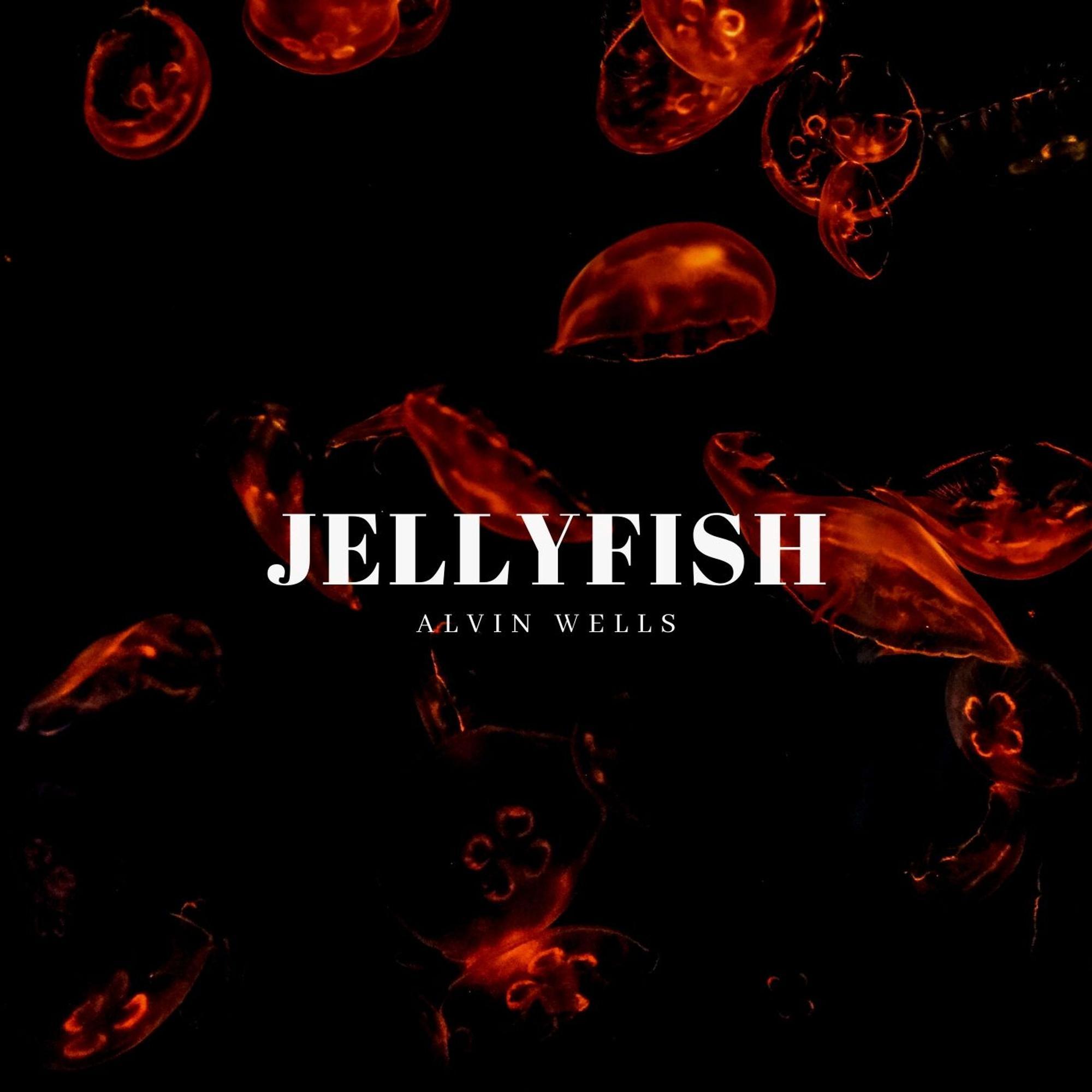 Jellyfish