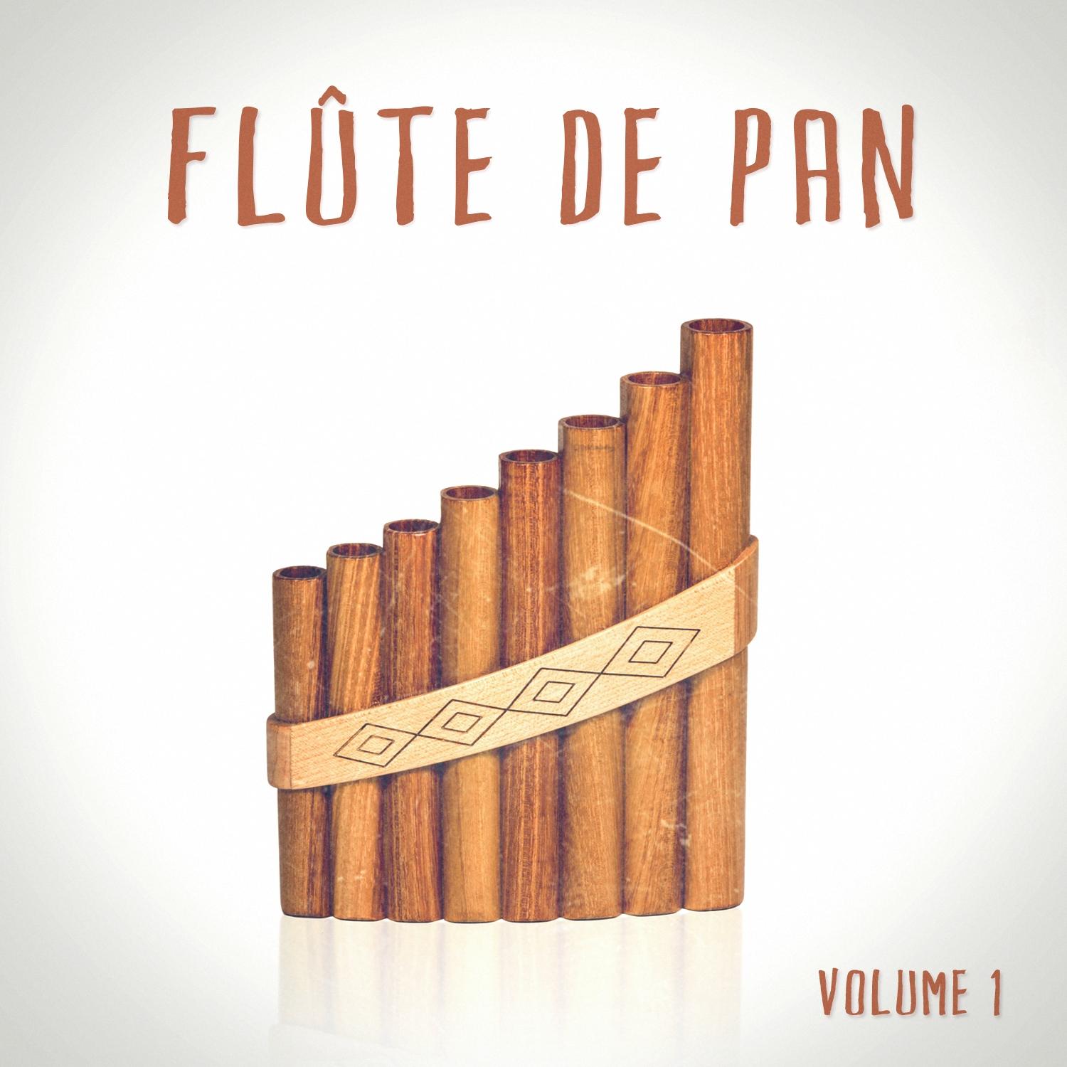 Fl te de pan