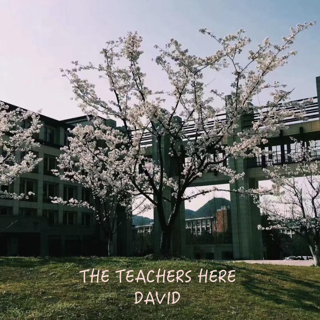 The teachers here