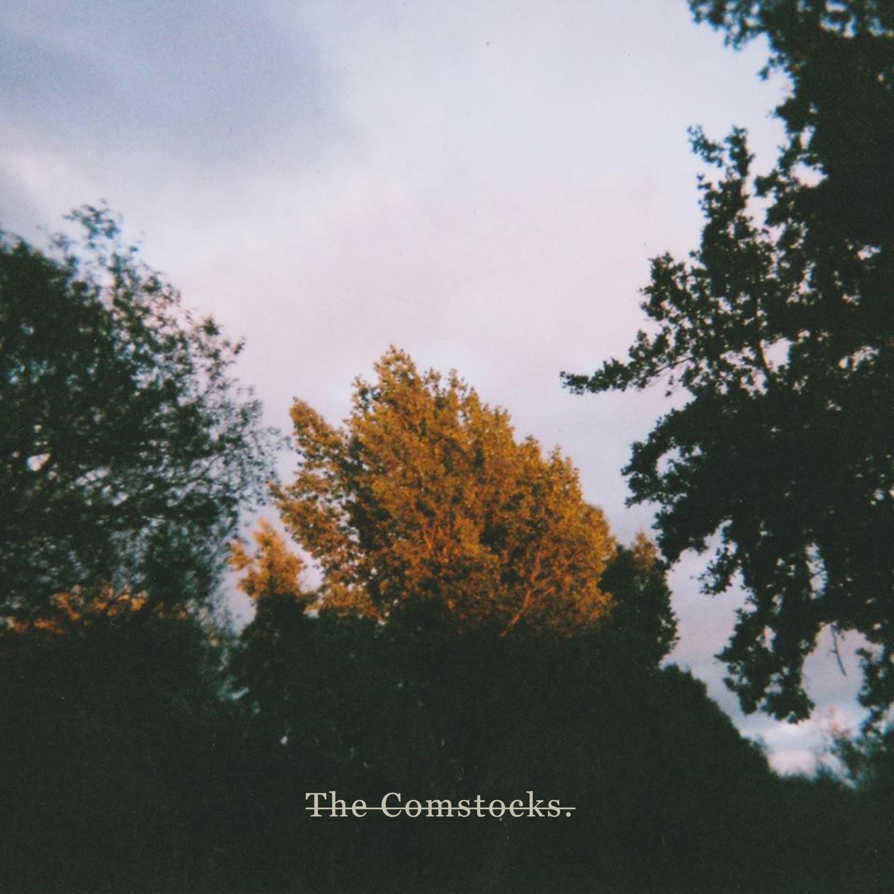 The Comstocks