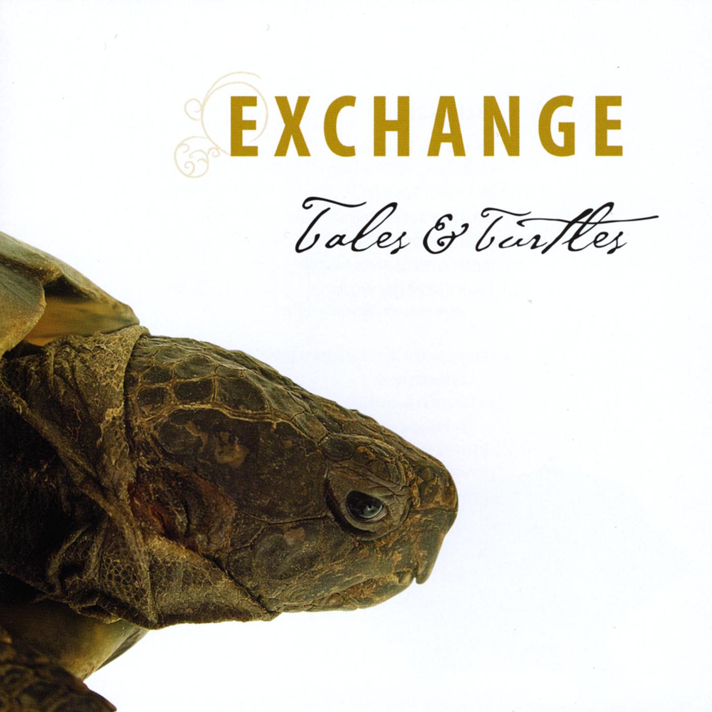 Tales & Turtles