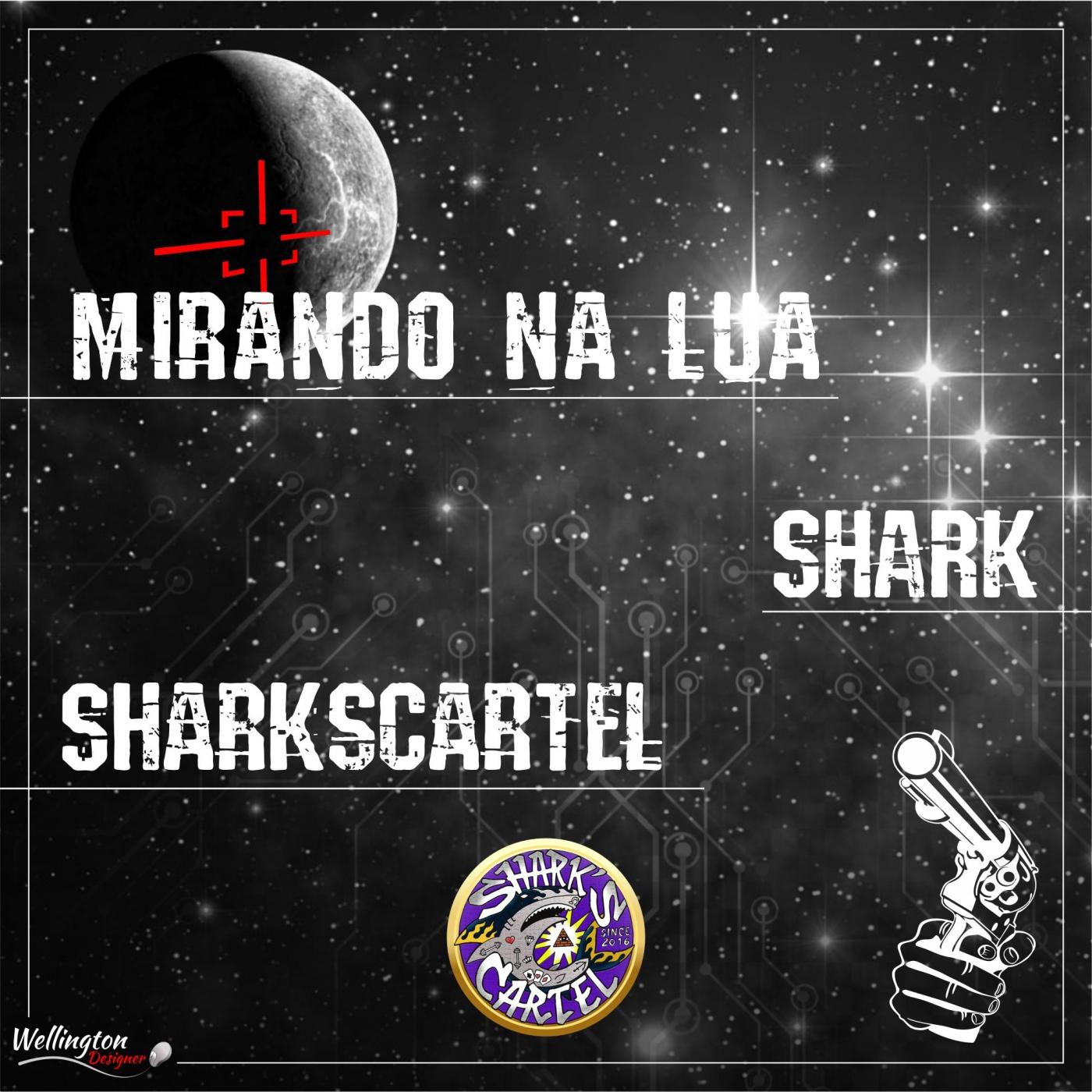 Mirando na lua