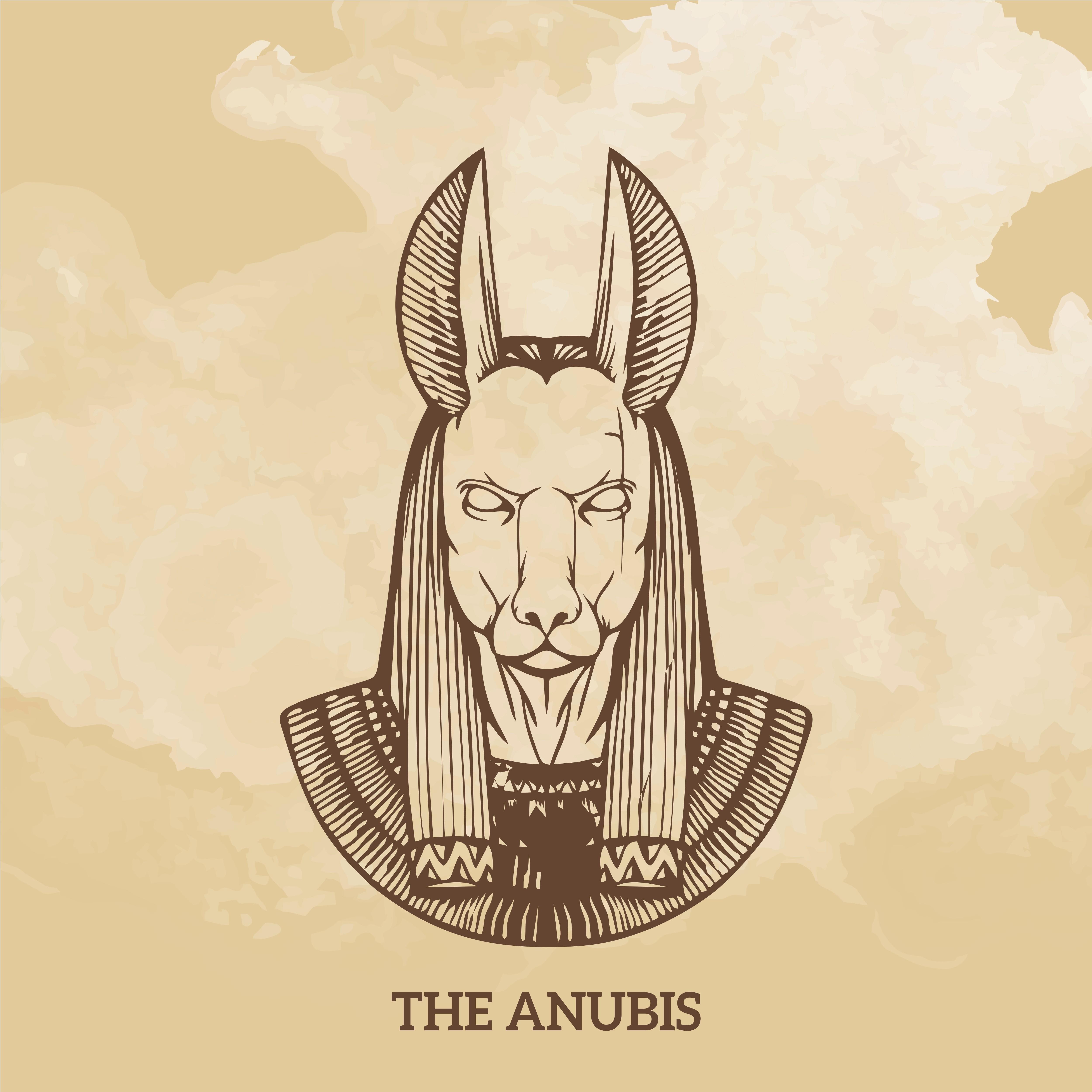 The Anubis