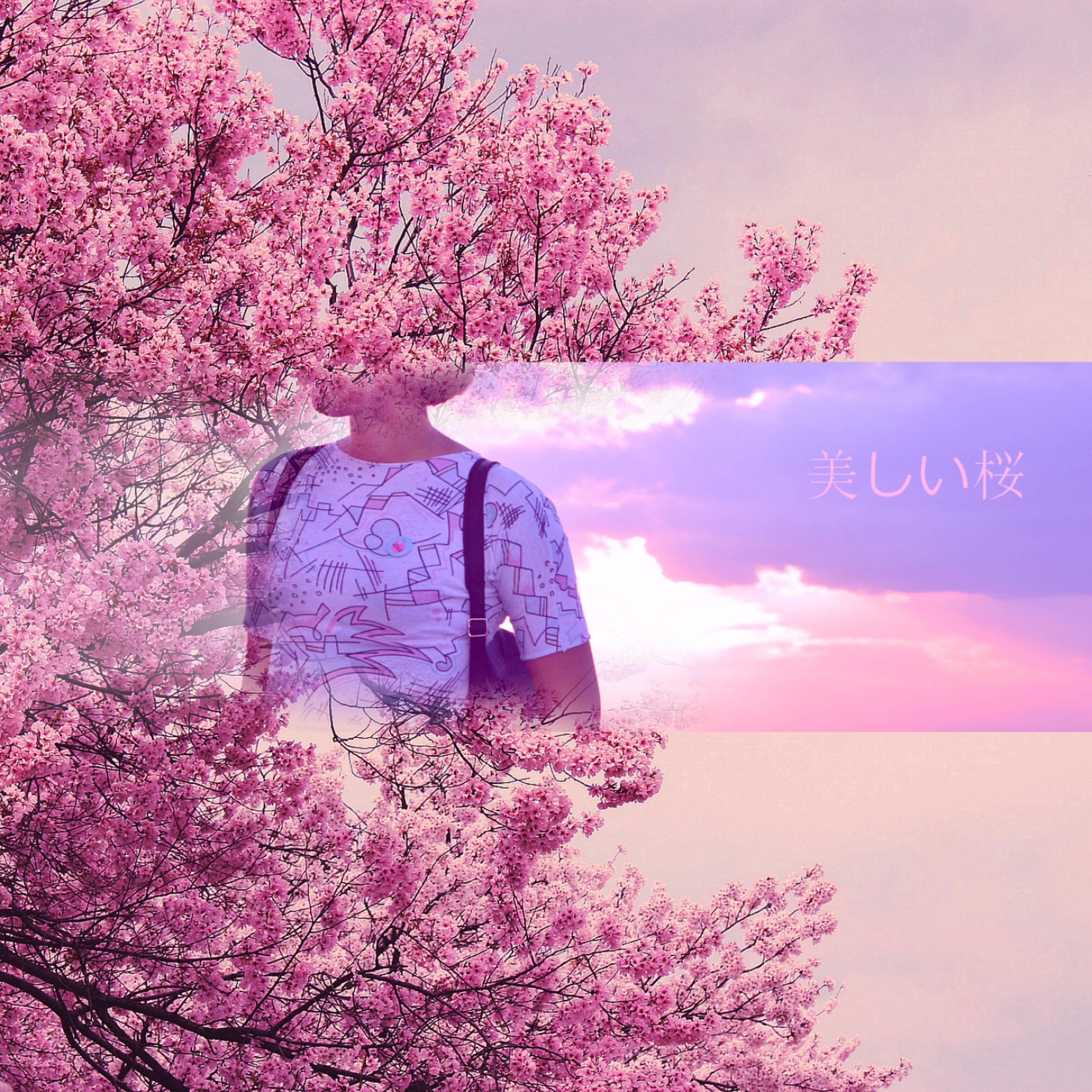 shan ying