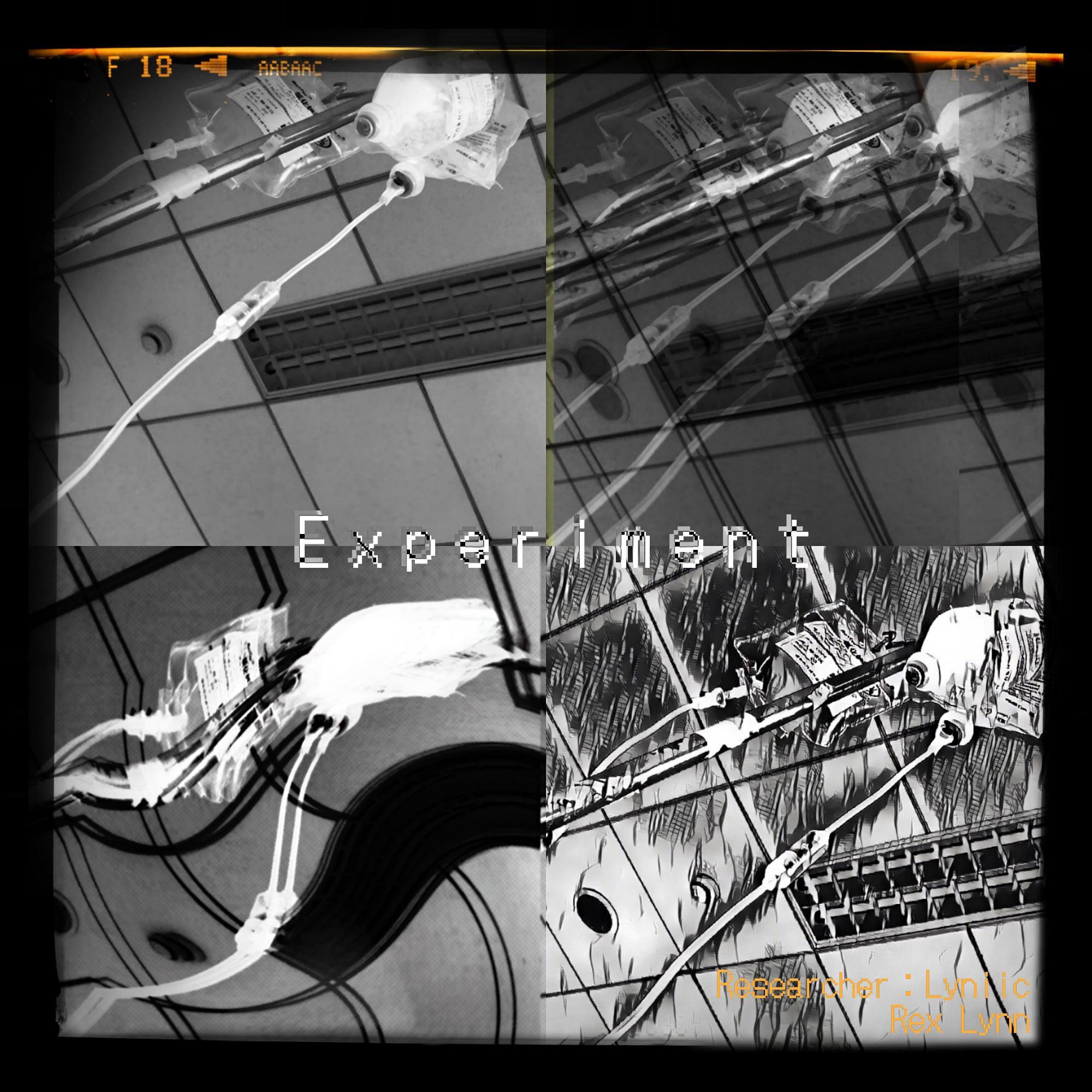 Experiment
