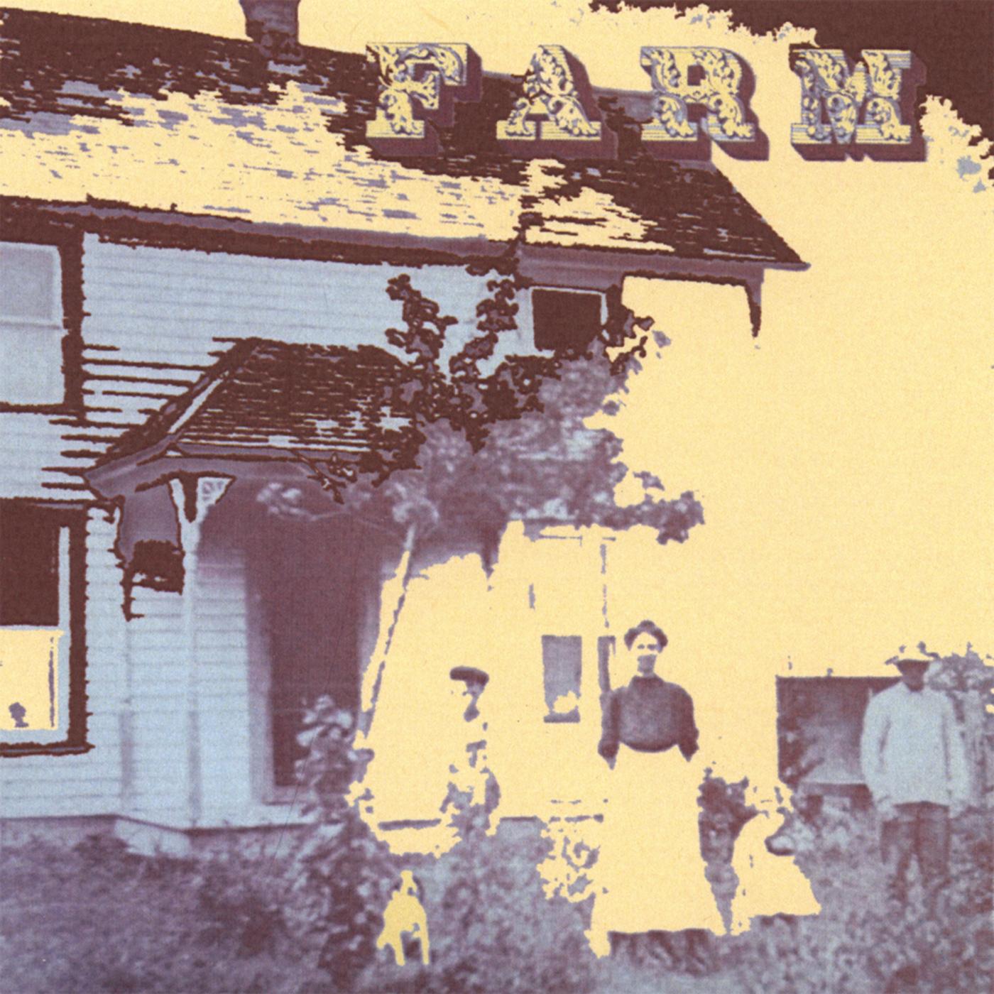 Cottonfield Woman