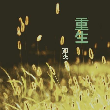 bao bei