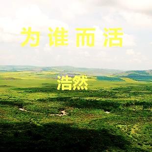wei shi me
