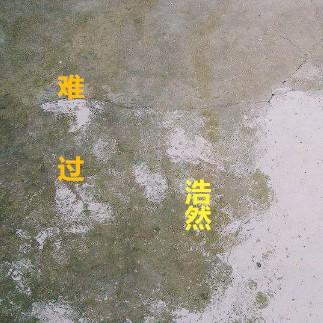 nan guo