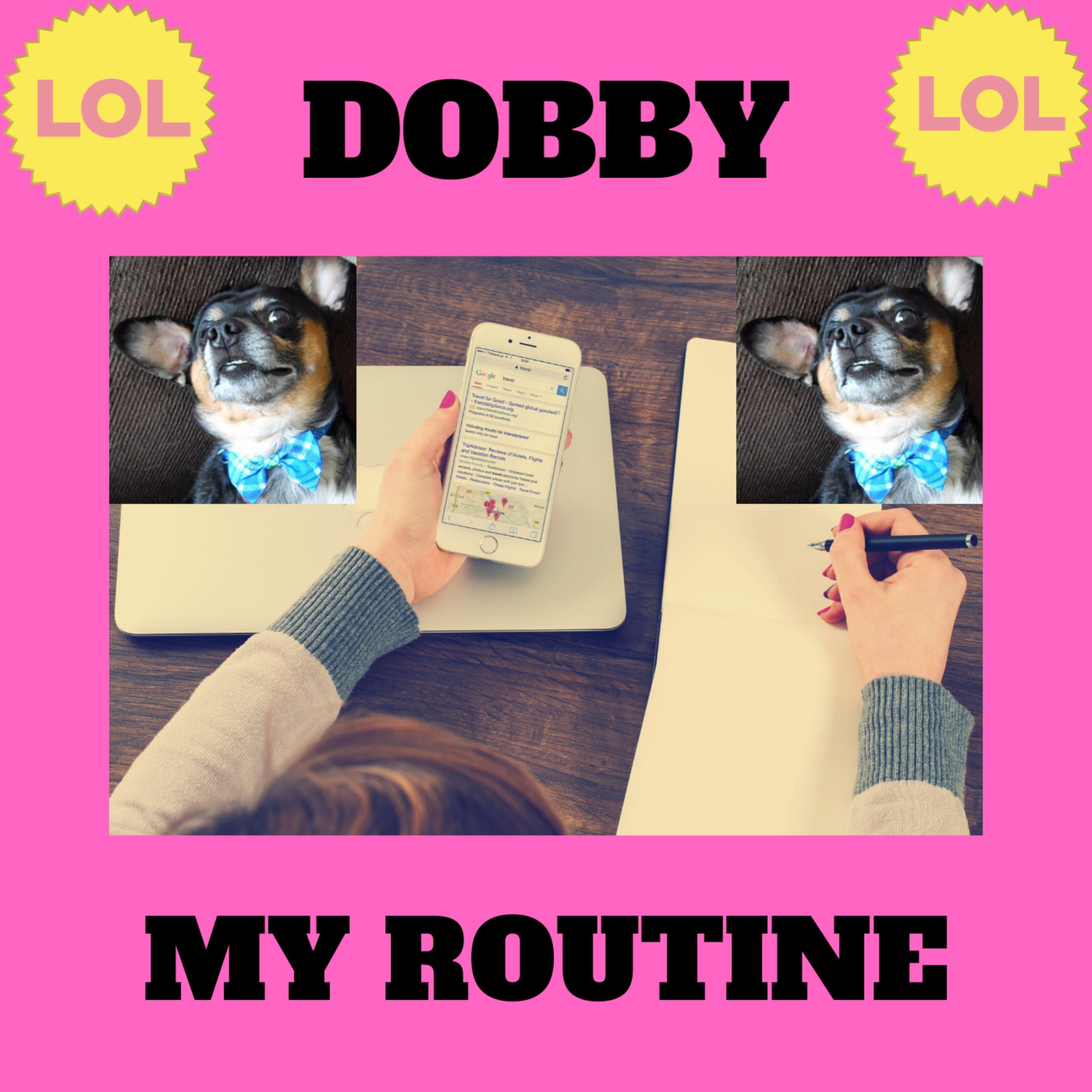 Dobby - My Routine