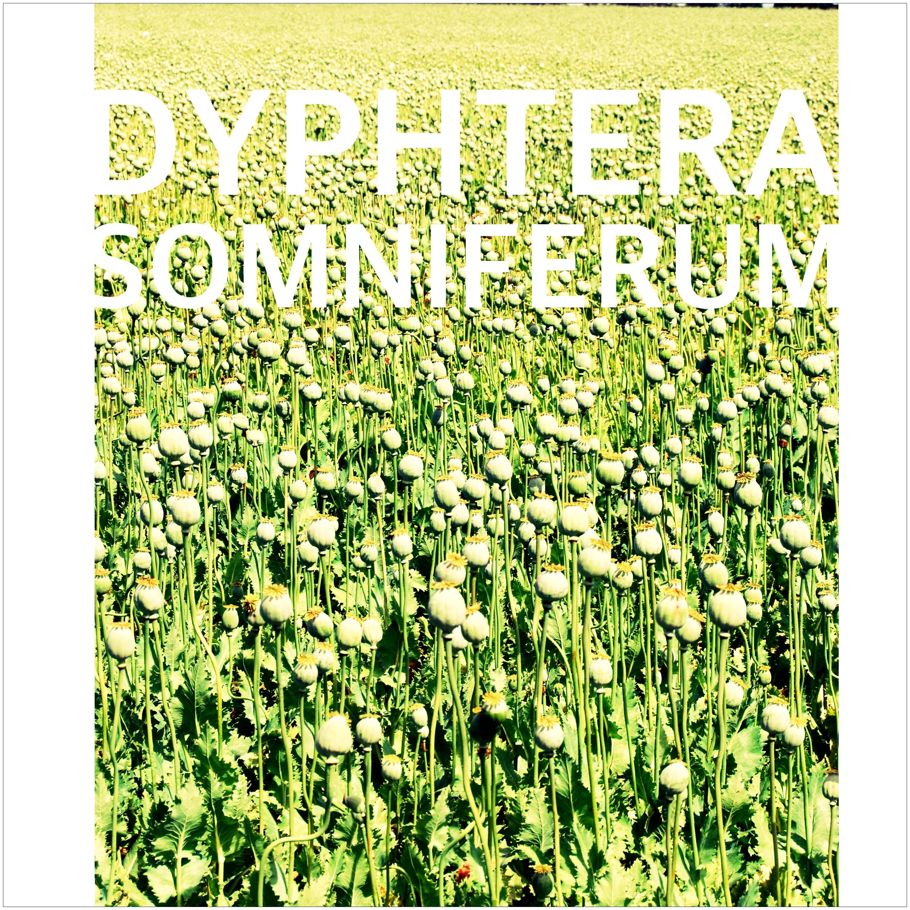 Somniferum