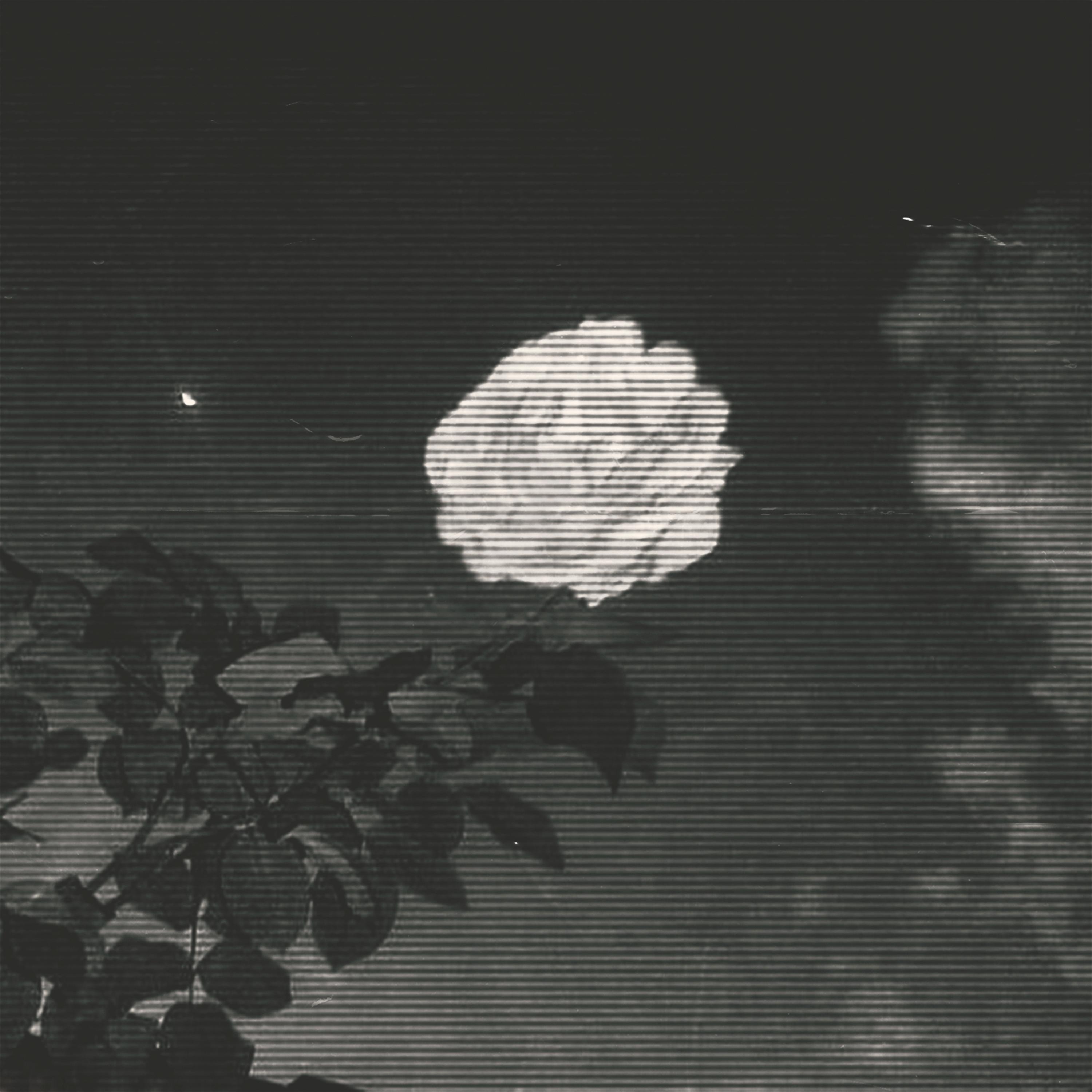 Quiet Breath
