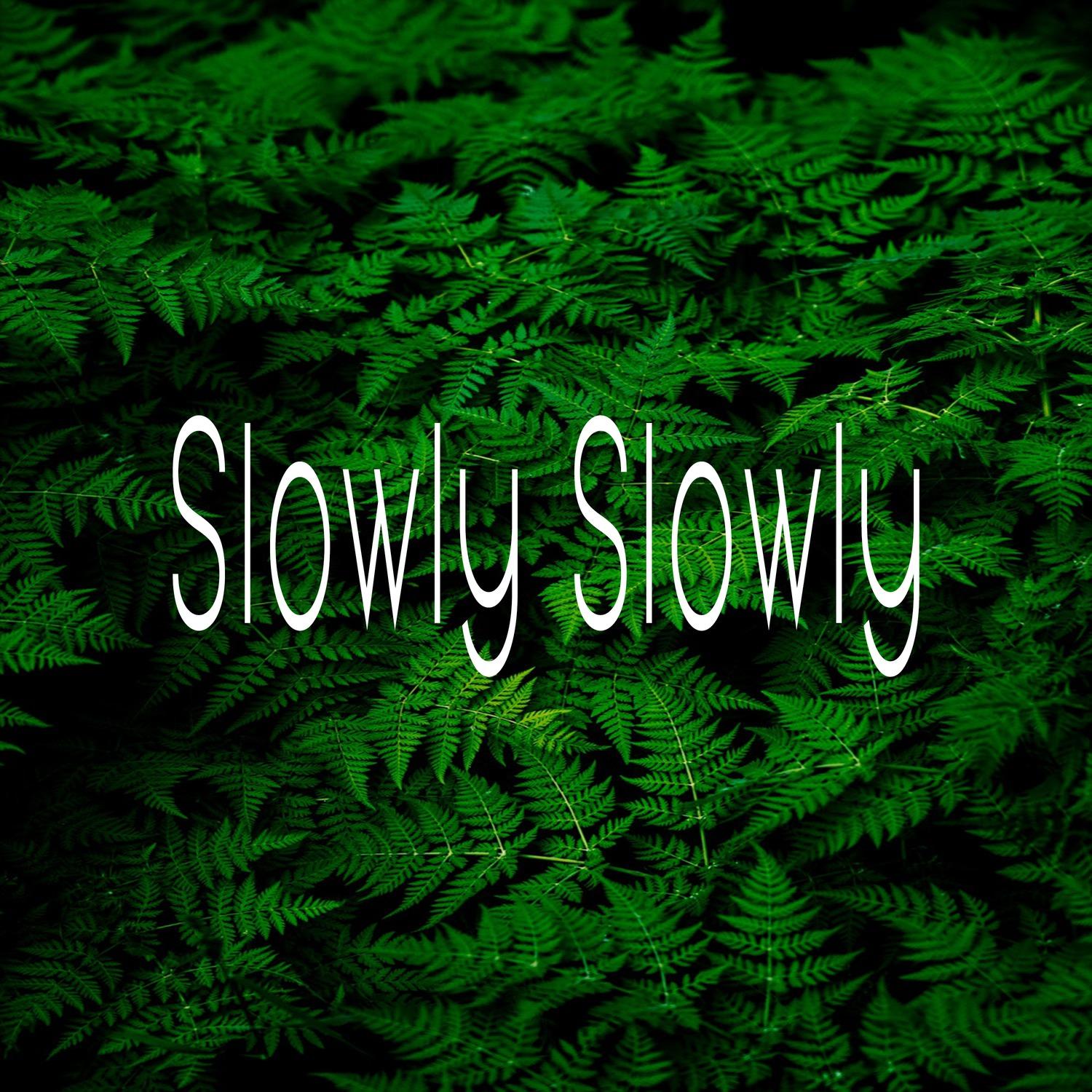 Slowly Slowly