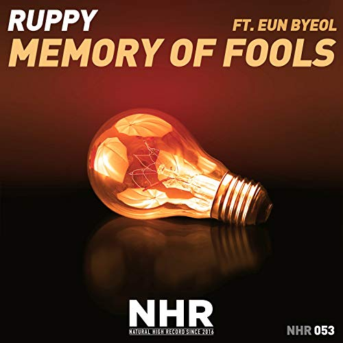 Memory of Fools