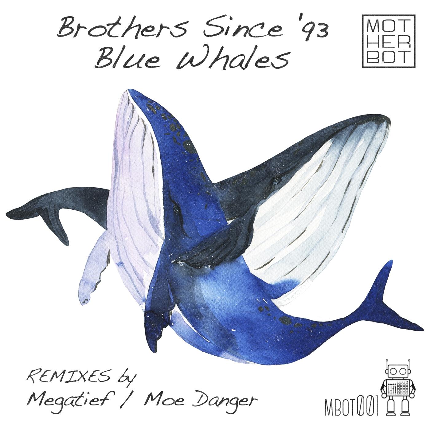 Blue Whales