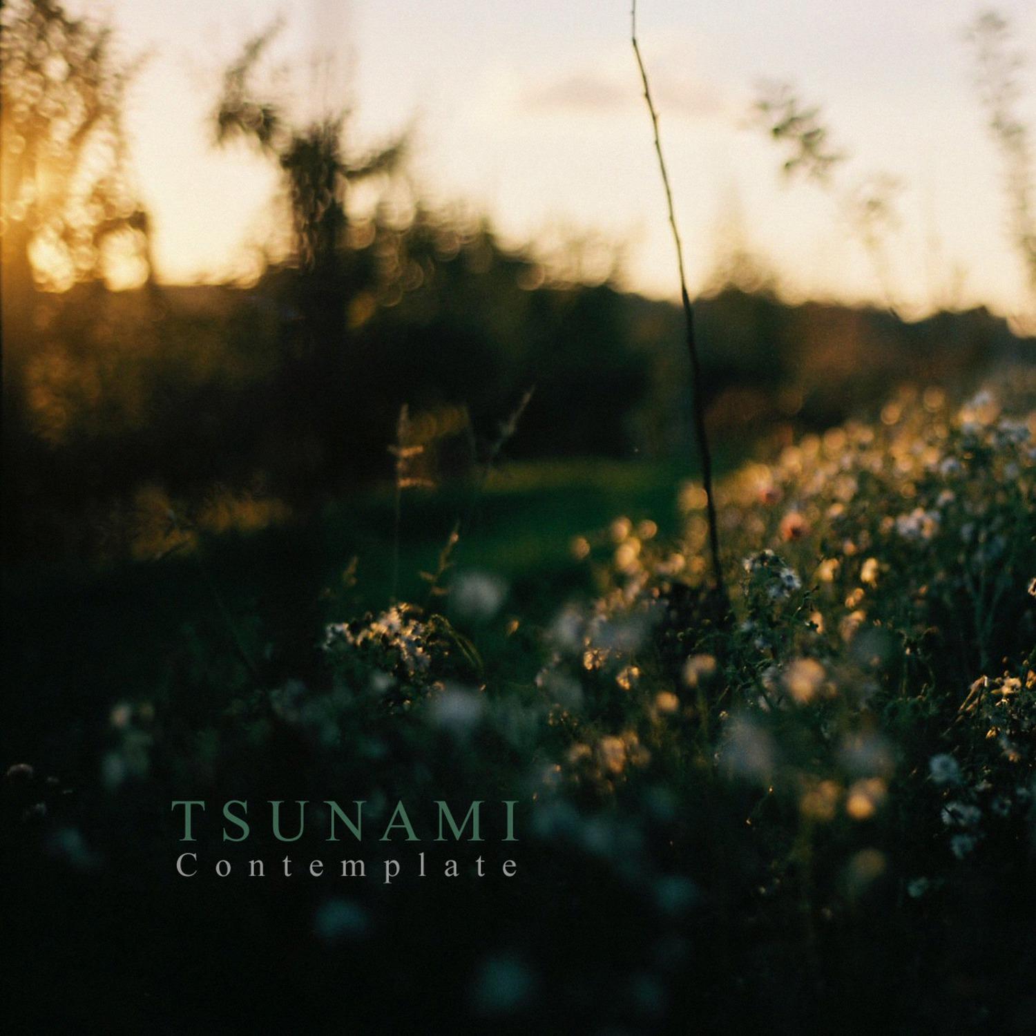Wild Flowers